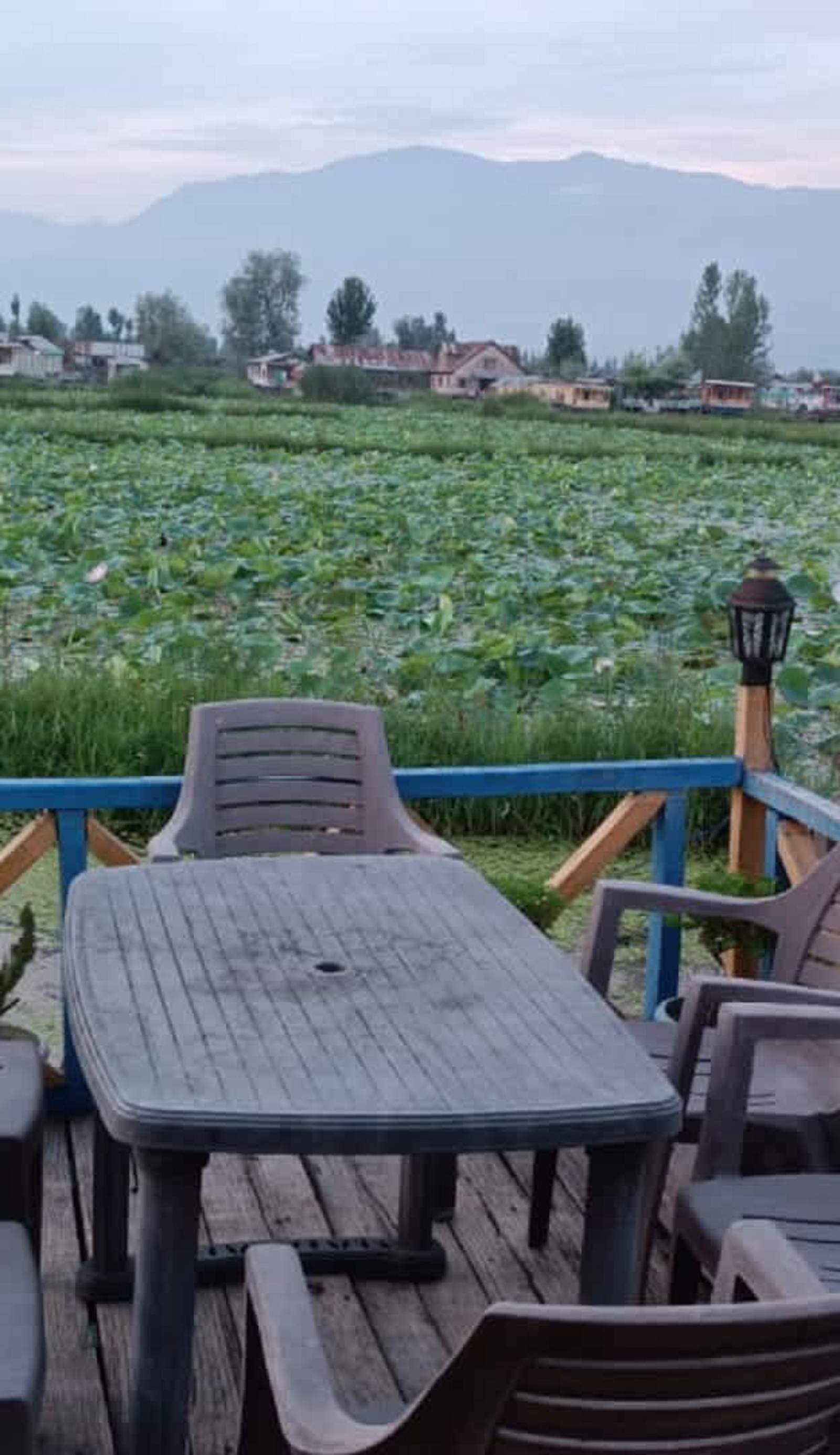 Golden Hopes Group of Houseboats