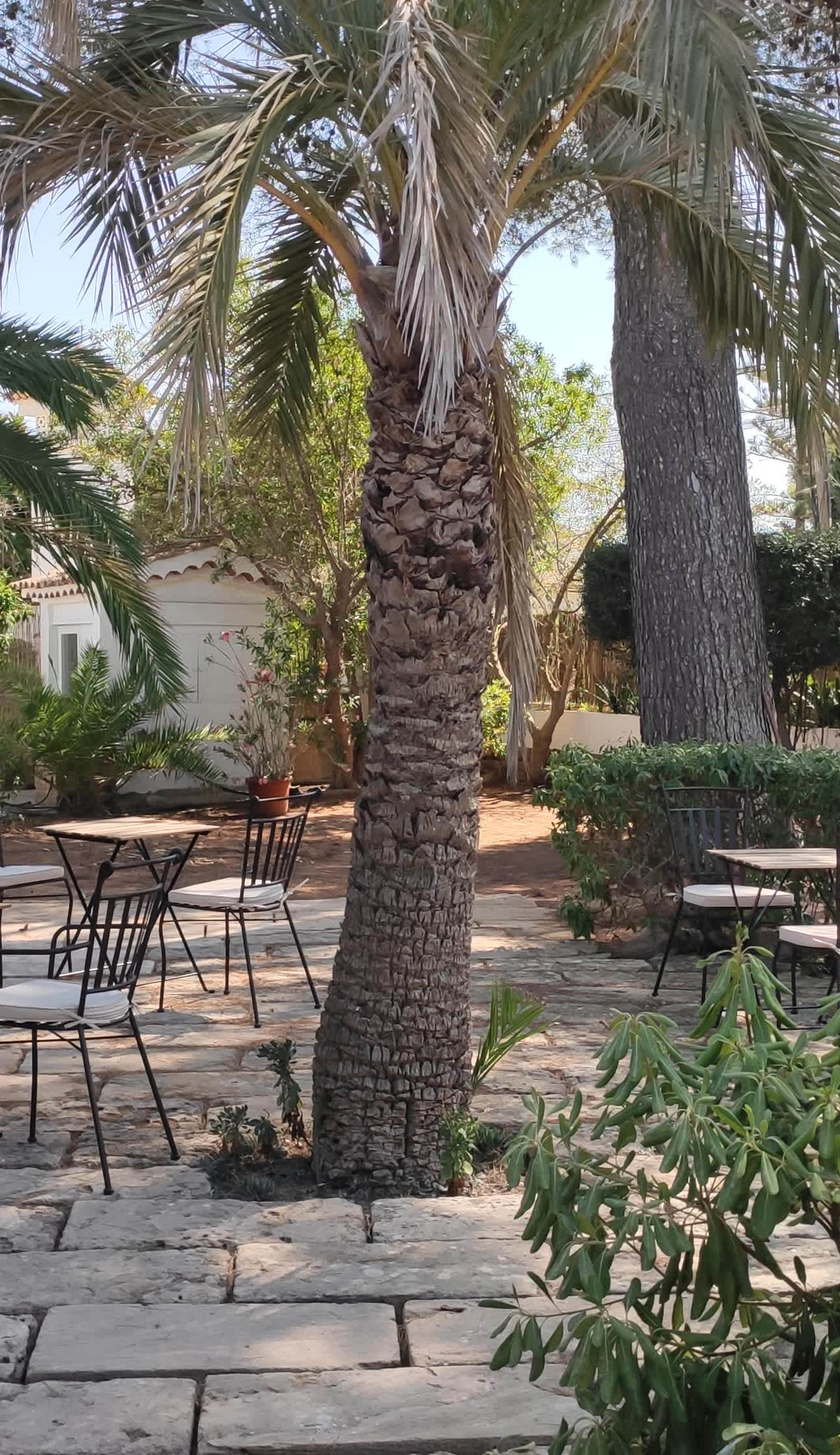Hotel Alma