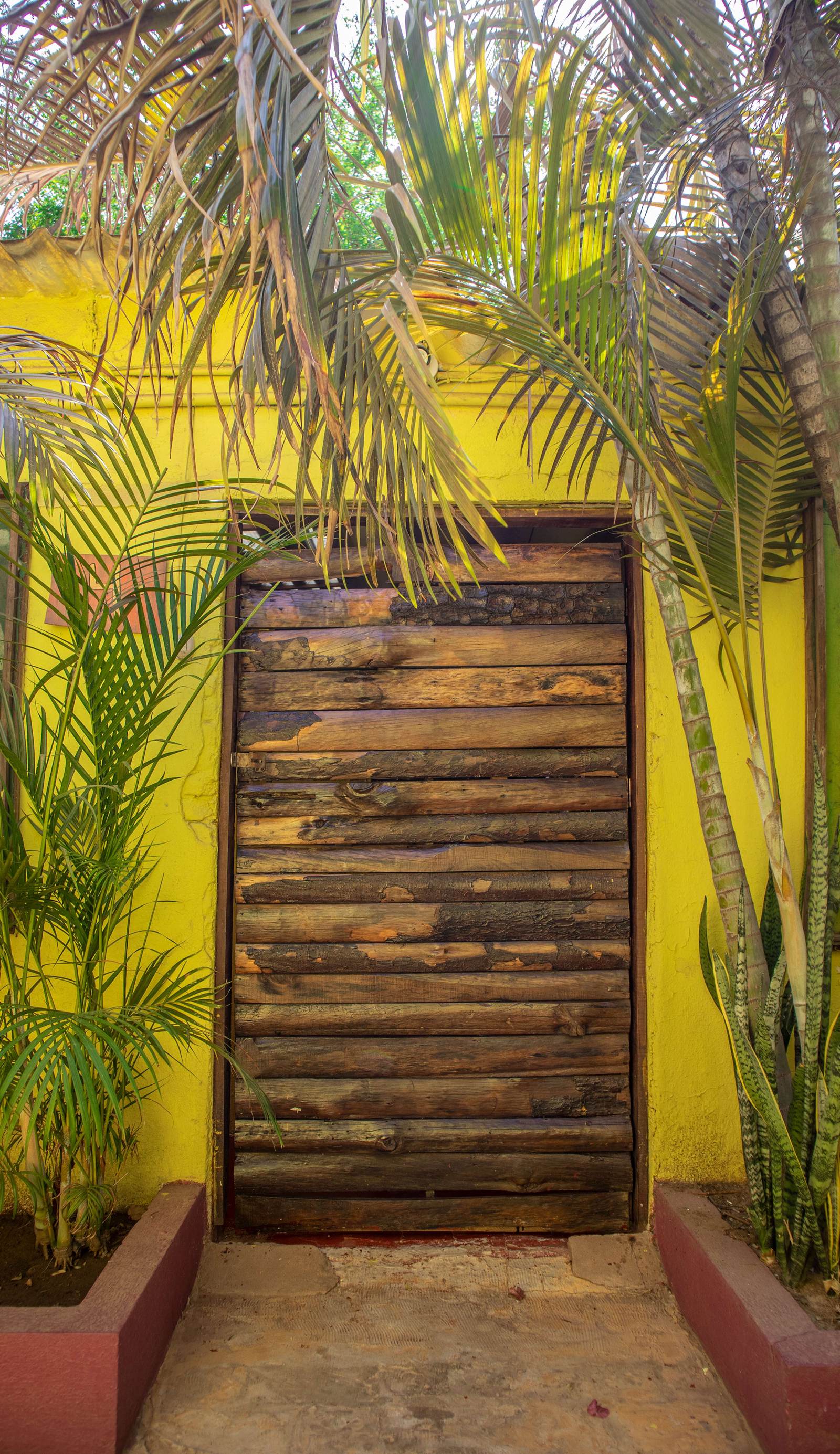 Shalom Puerto Escondido