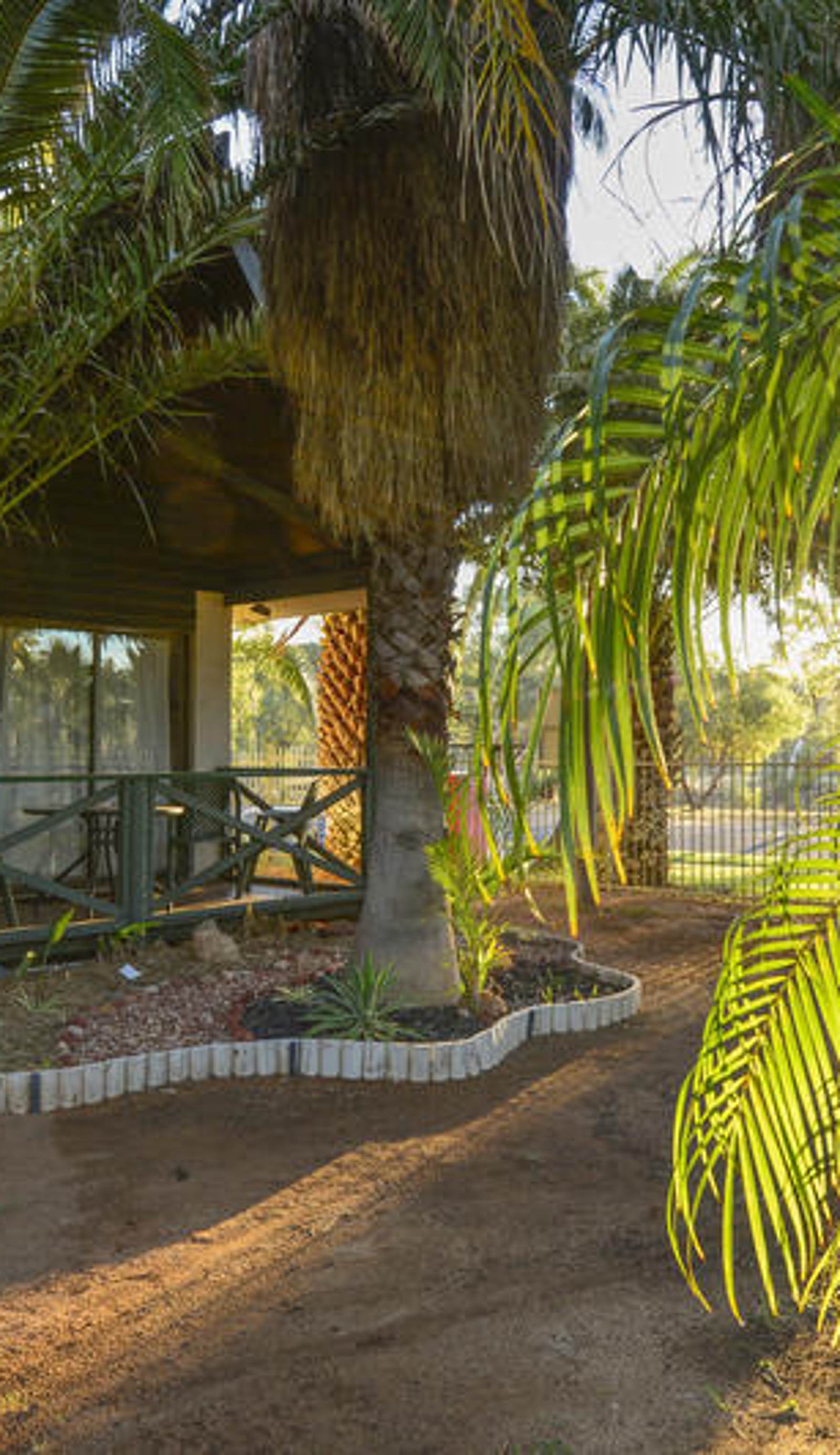 Desert Palms Alice Springs