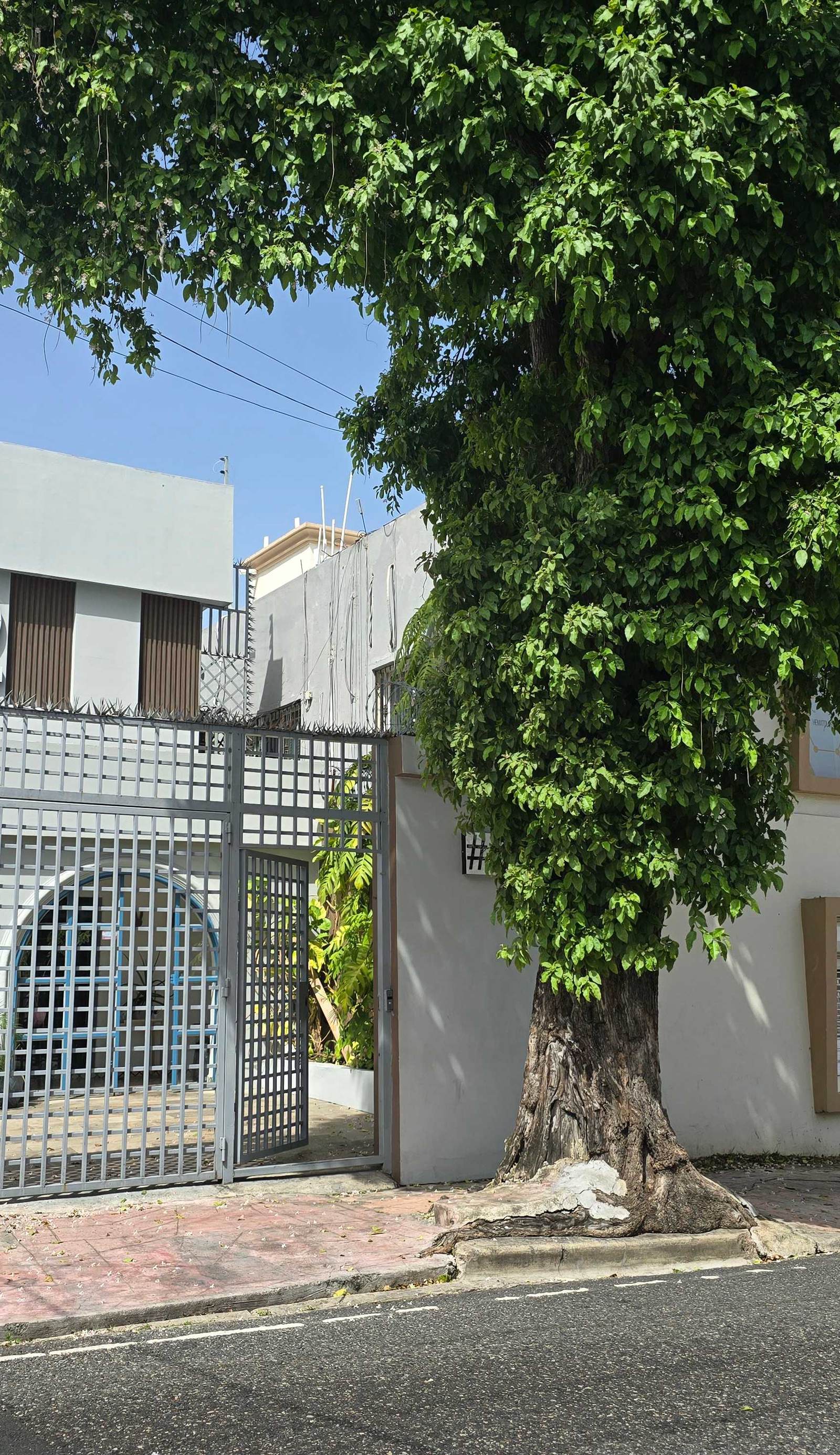 Hostal 53 Boutique