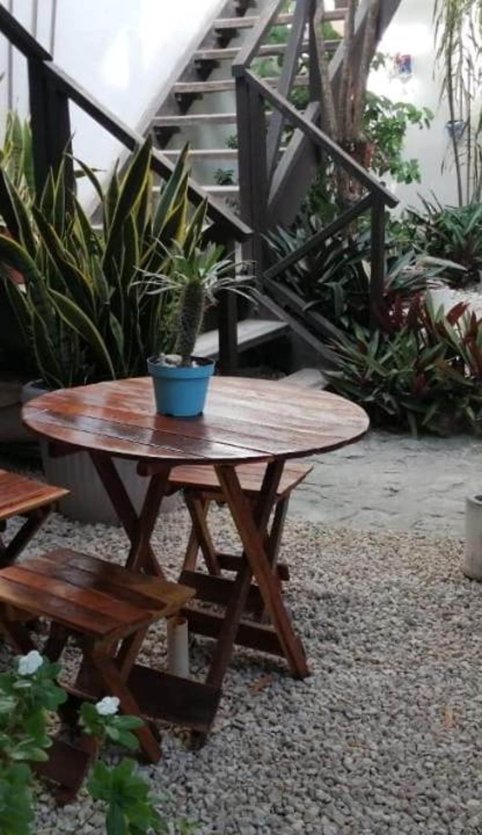 Hostal Jardin Mahahual