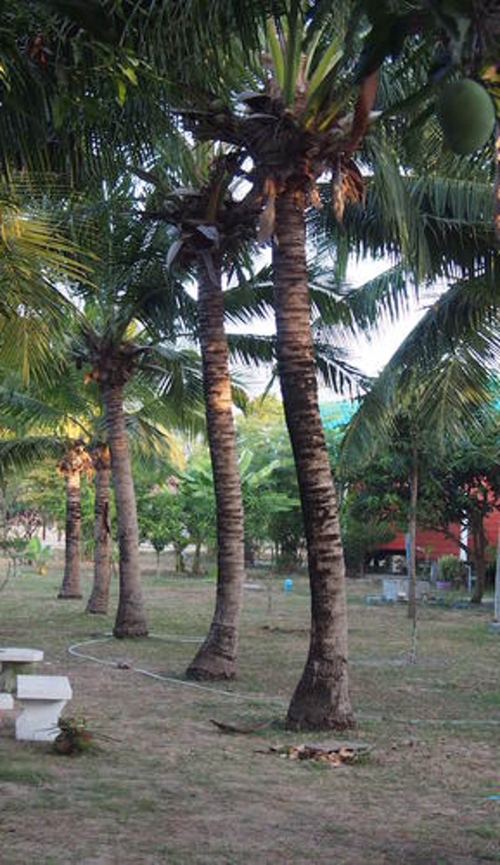 Kalae Resort