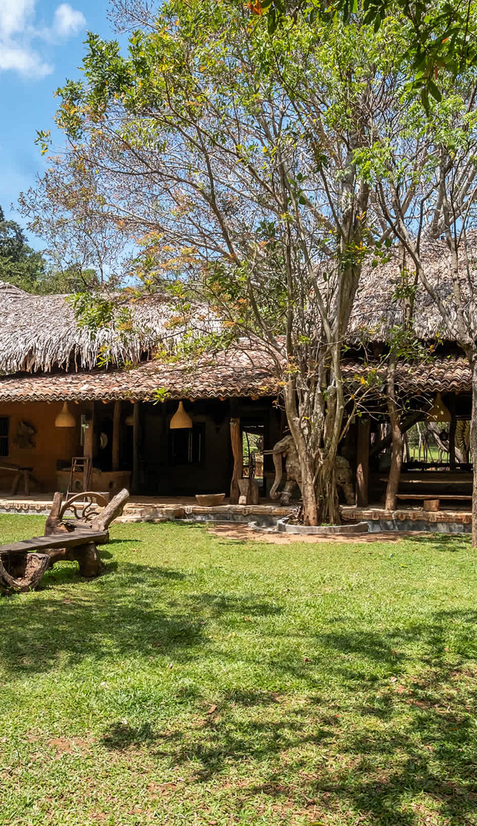 Banyan Camp Hambegamuwa