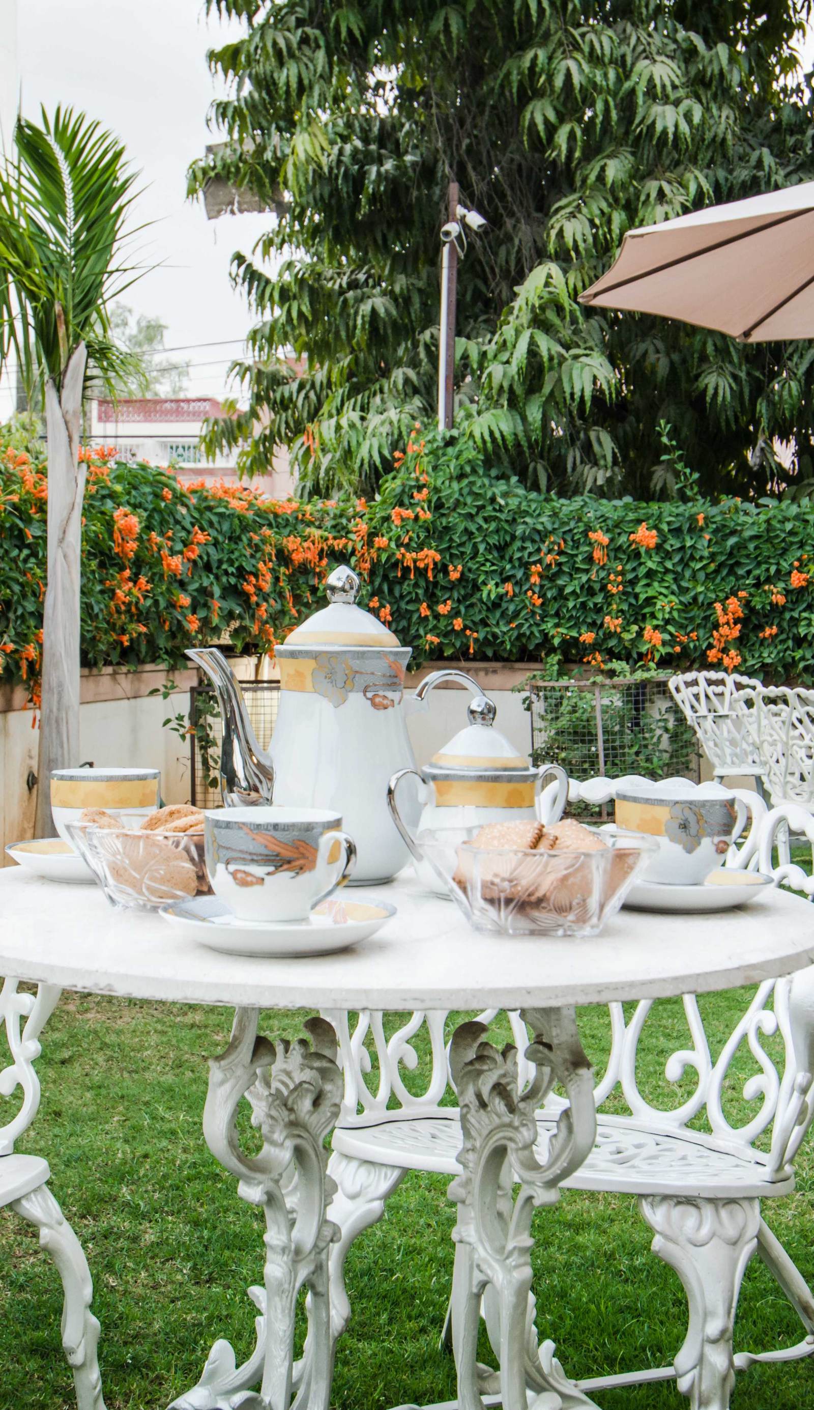 Palm 34 Jaipur