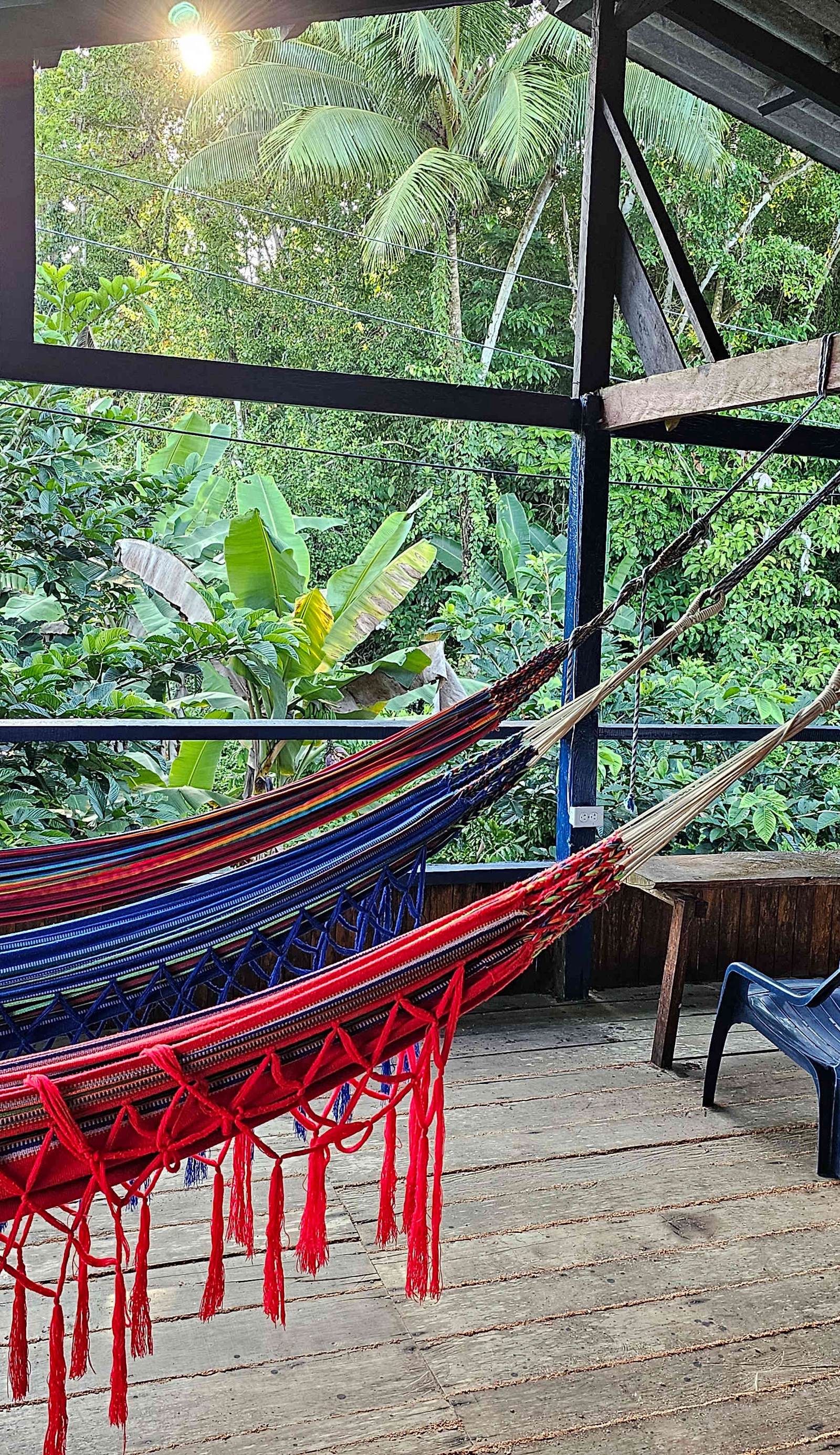 Hostel Herping Bahía Solano Tour