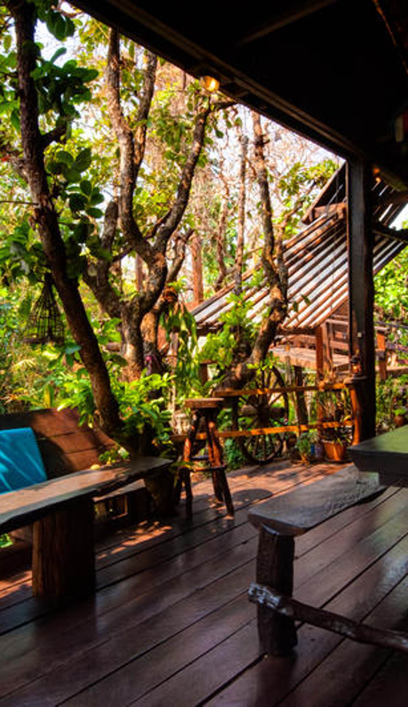 The Nature Lodge