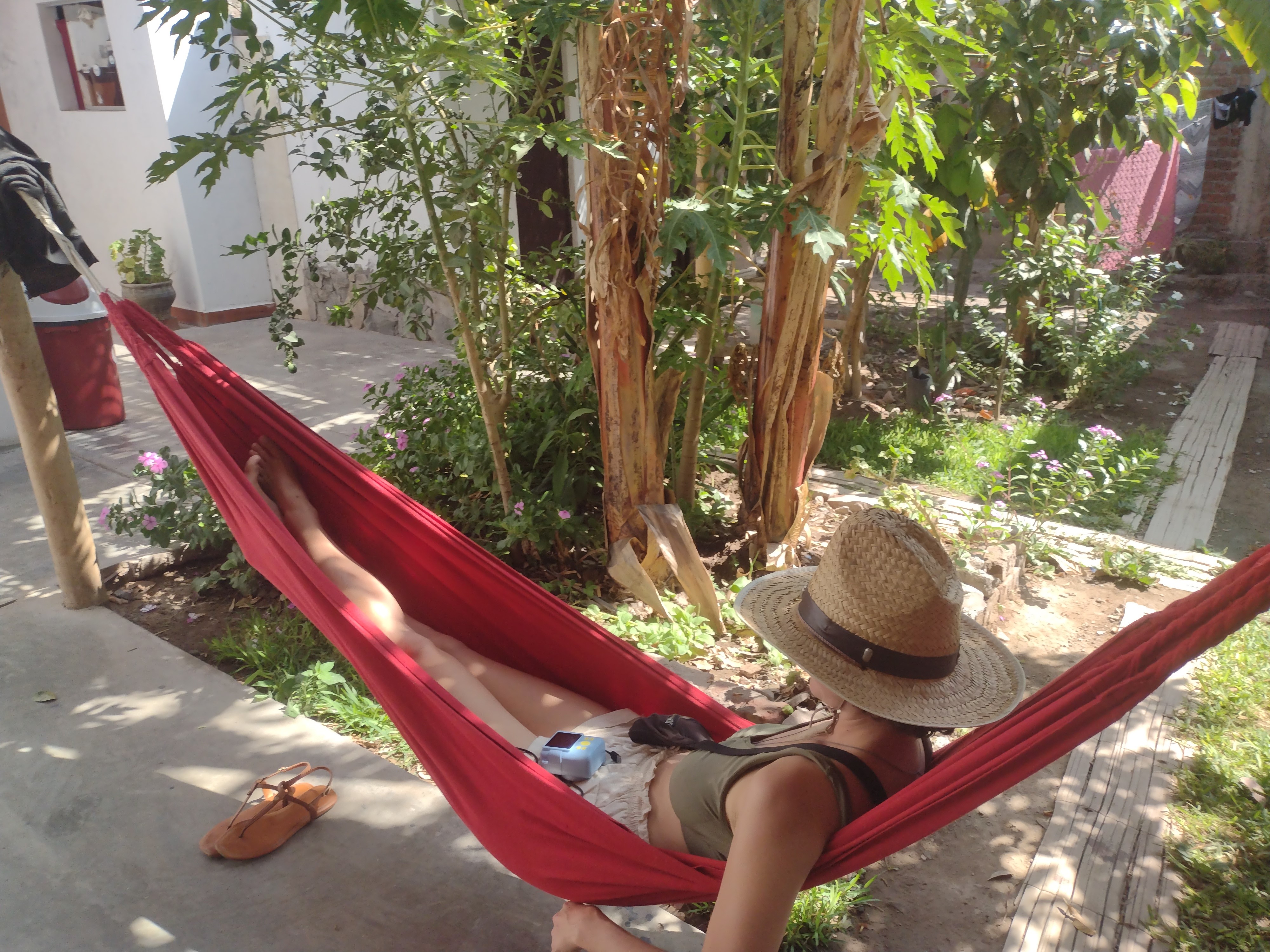 Flying Monkey Hostel