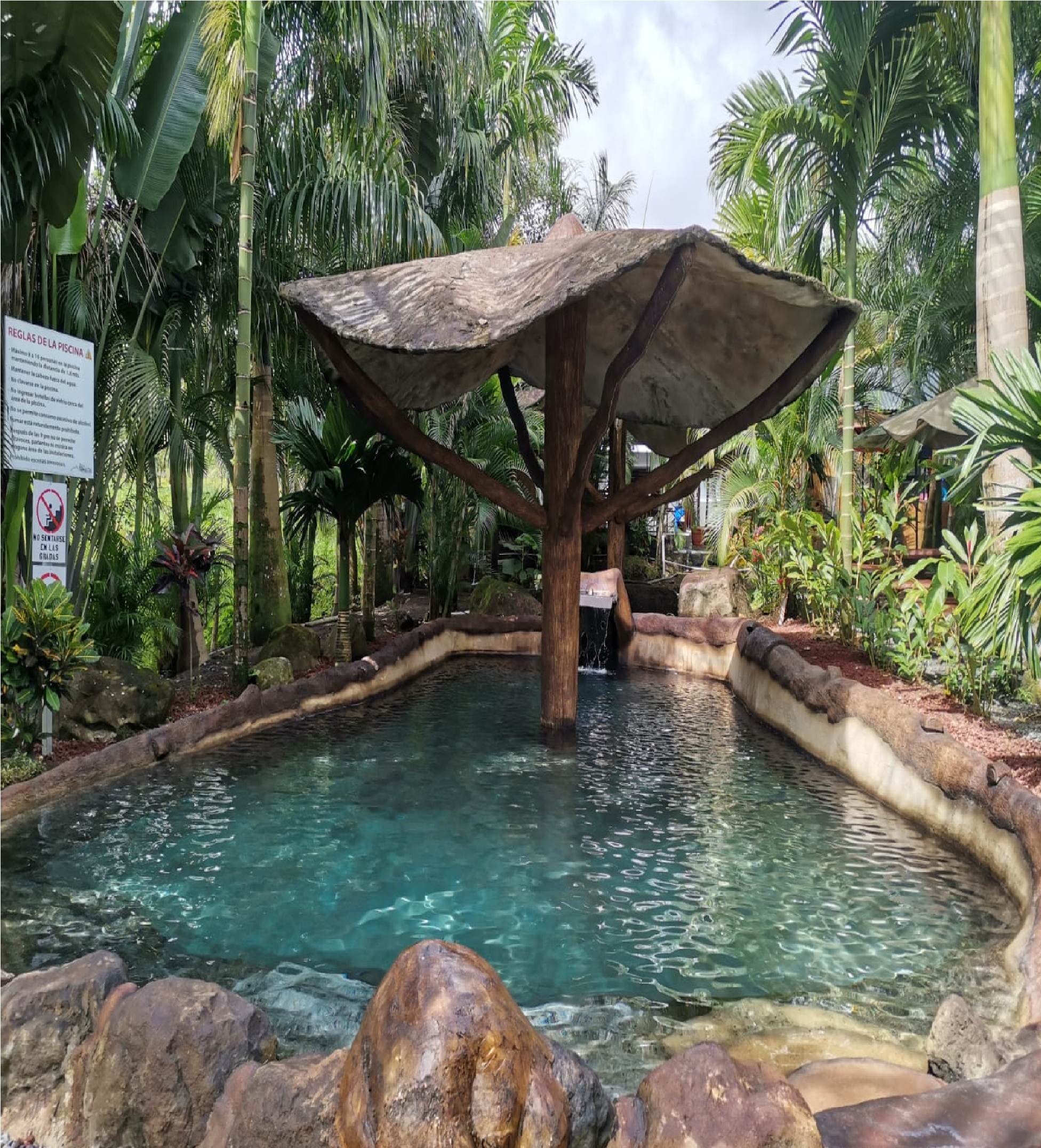 Hotel Palmera Real Hot Springs