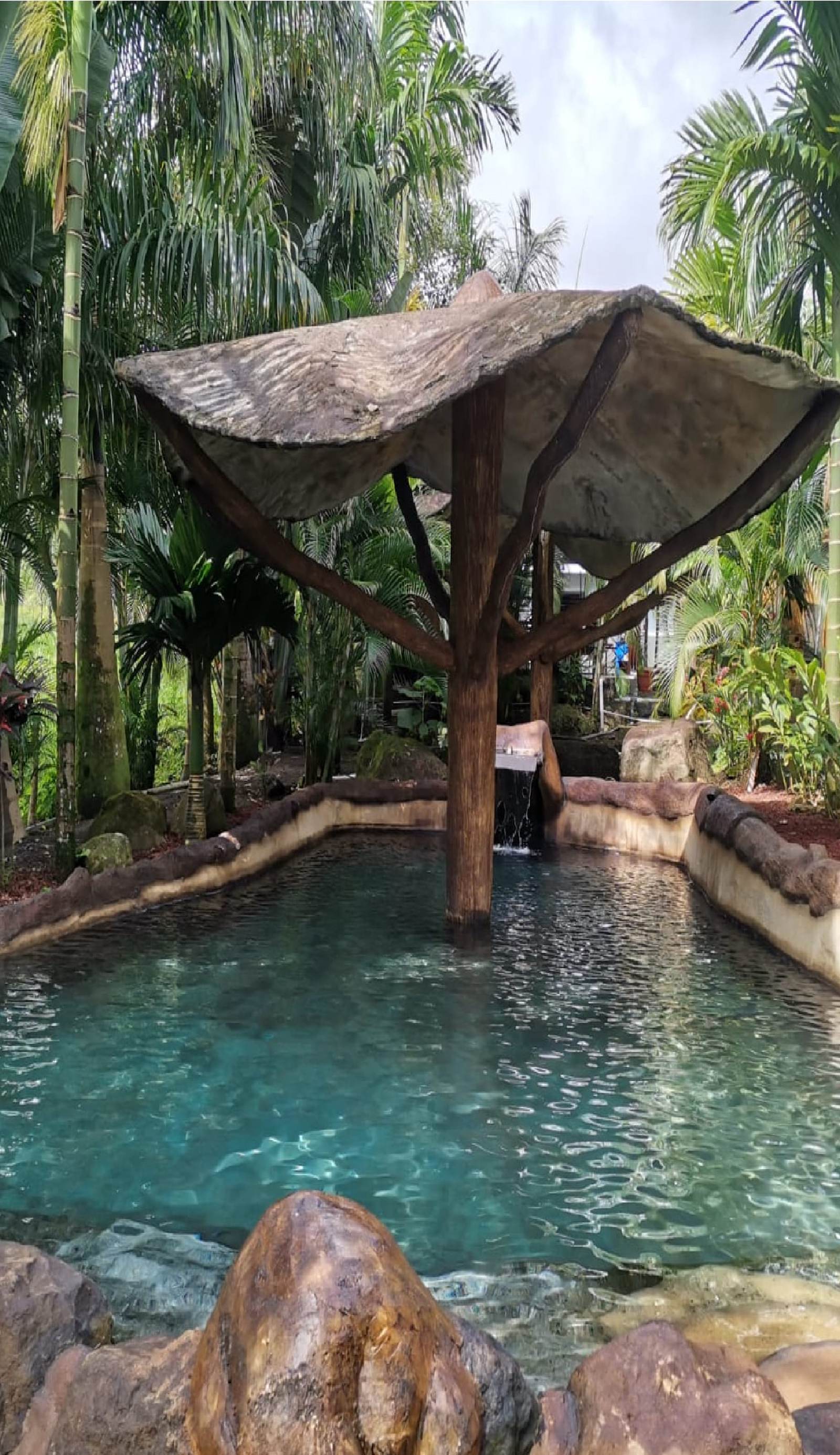 Hotel Palmera Real Hot Springs