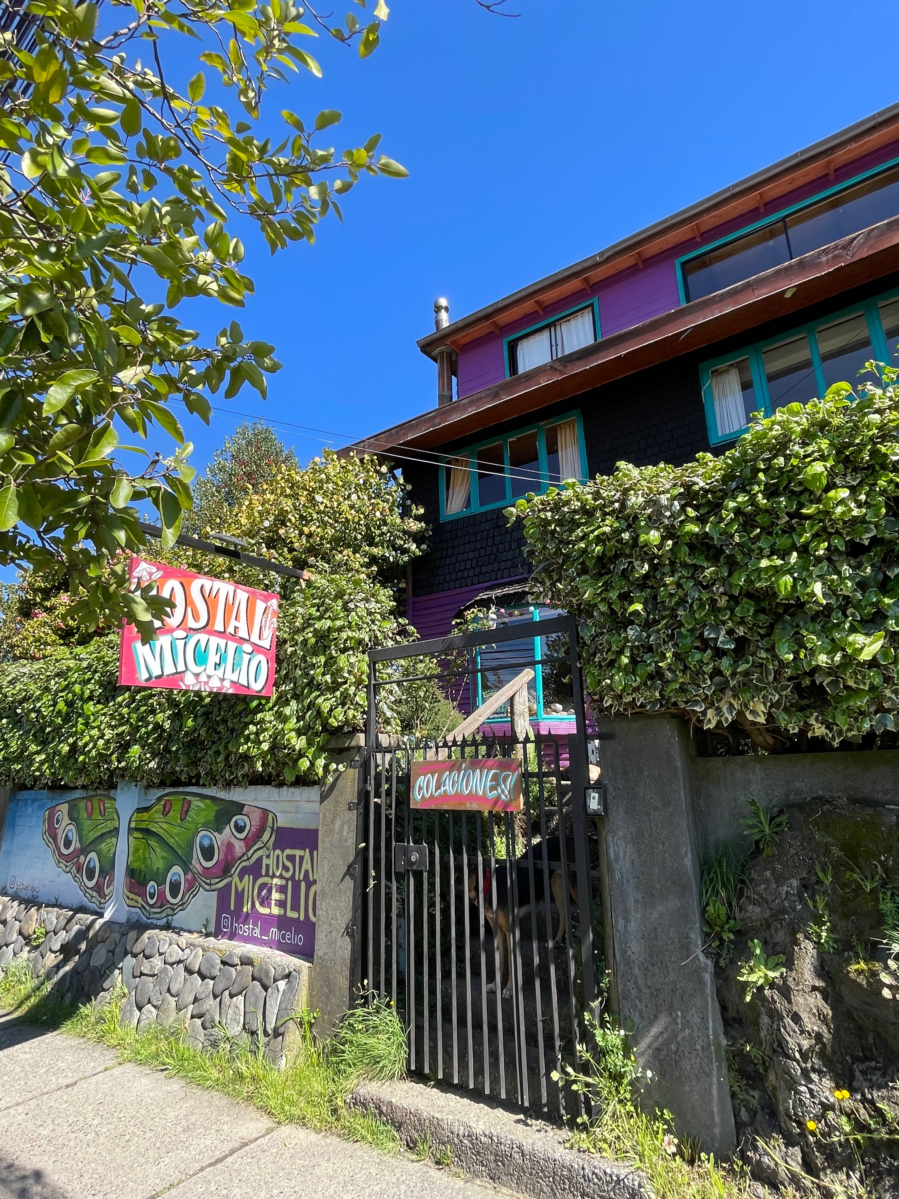 Hostal Micelio