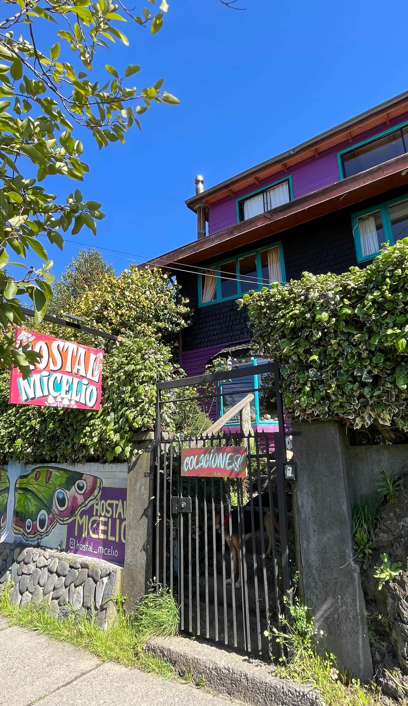Hostal Micelio