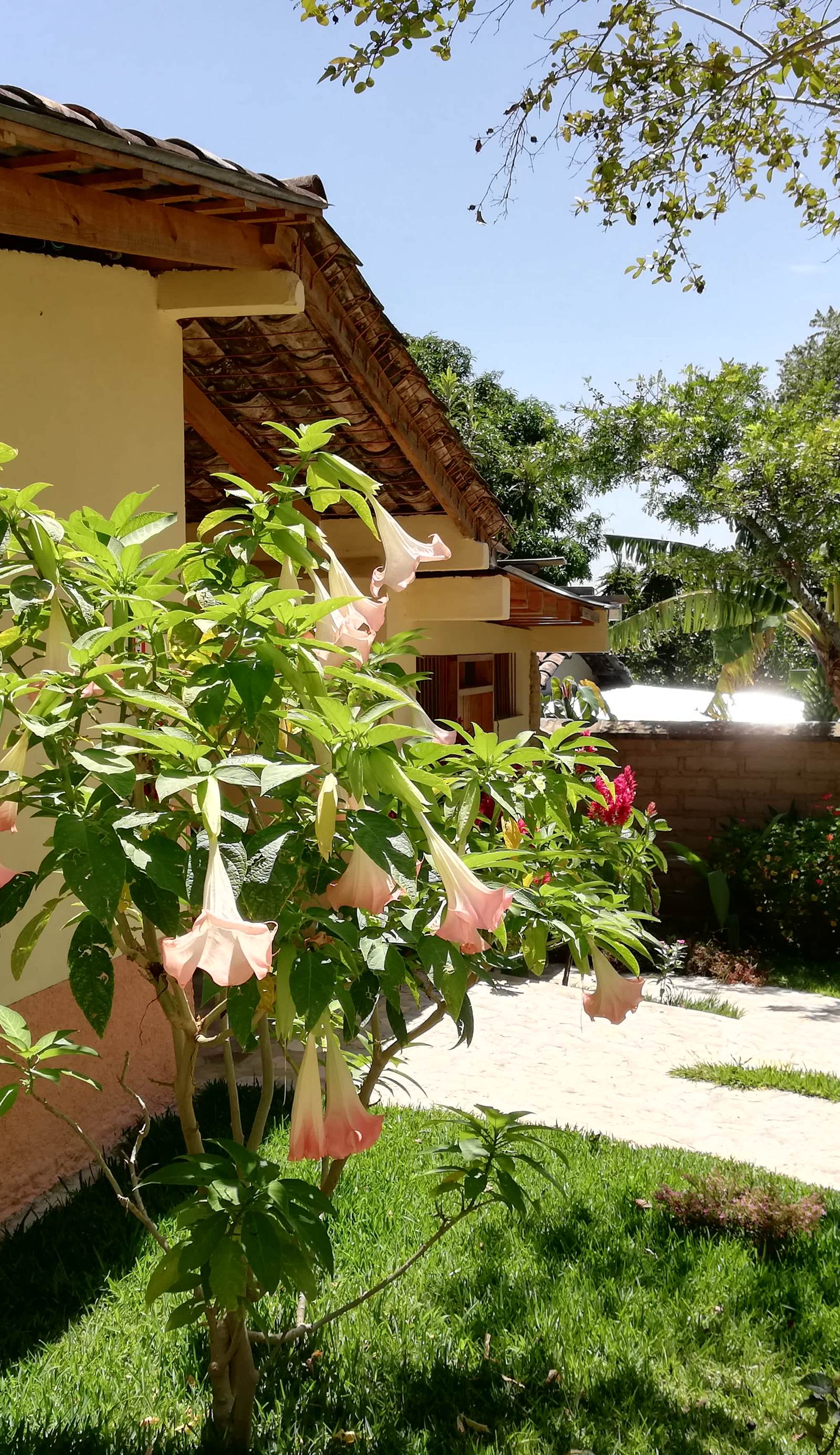 Ecolodge Guancascos