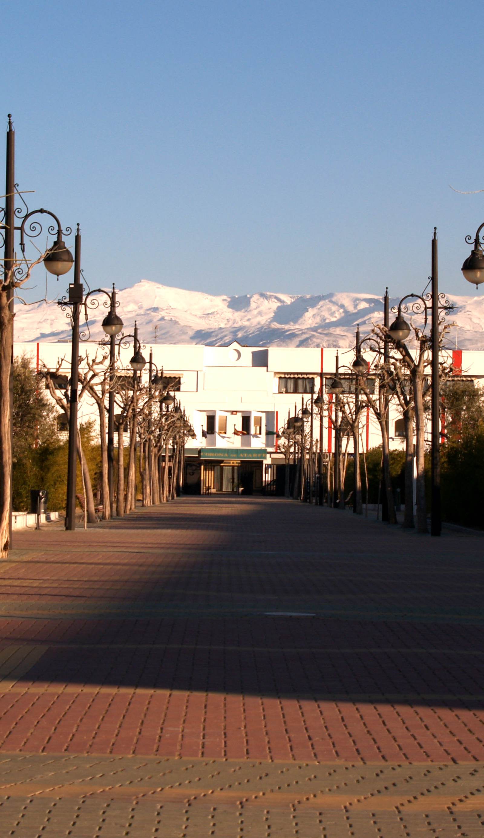 Hotel Corona de Atarfe
