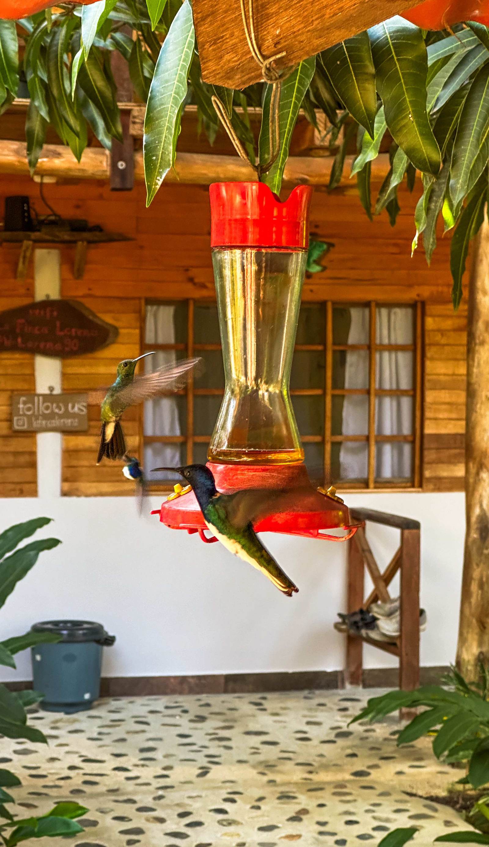 La Finca Lorena Tayrona