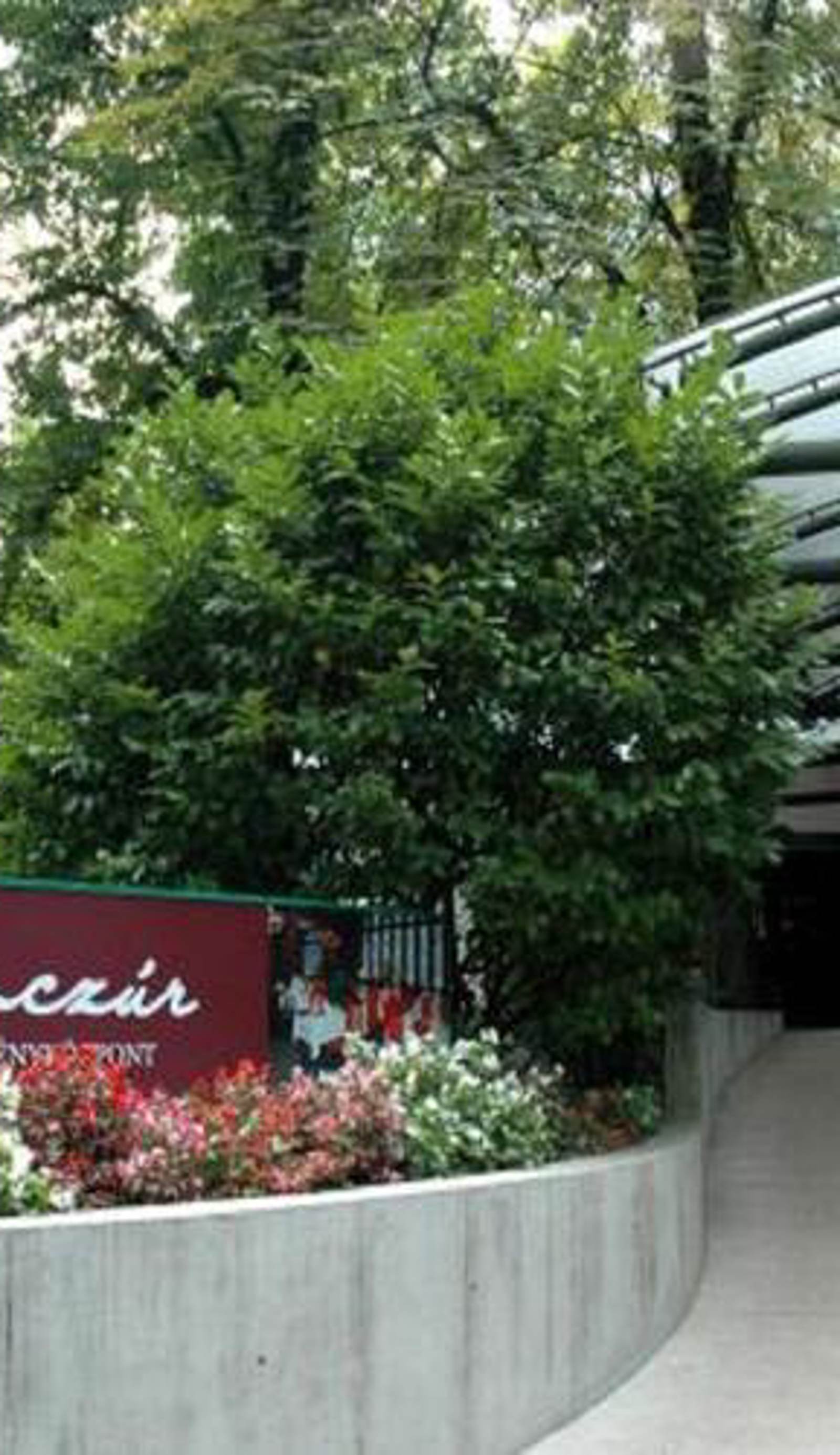 Hotel Benczur