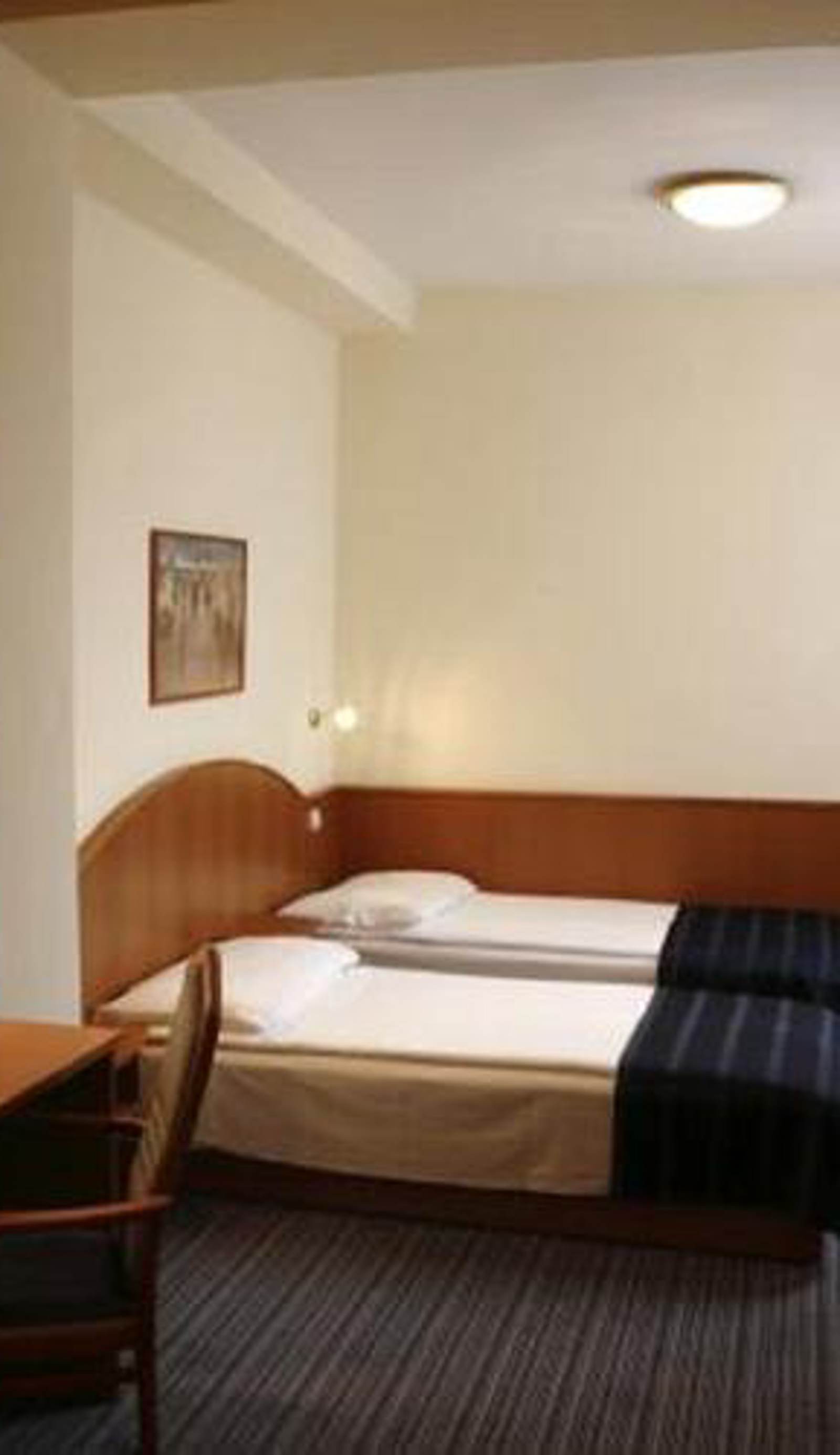 Hotel Benczur