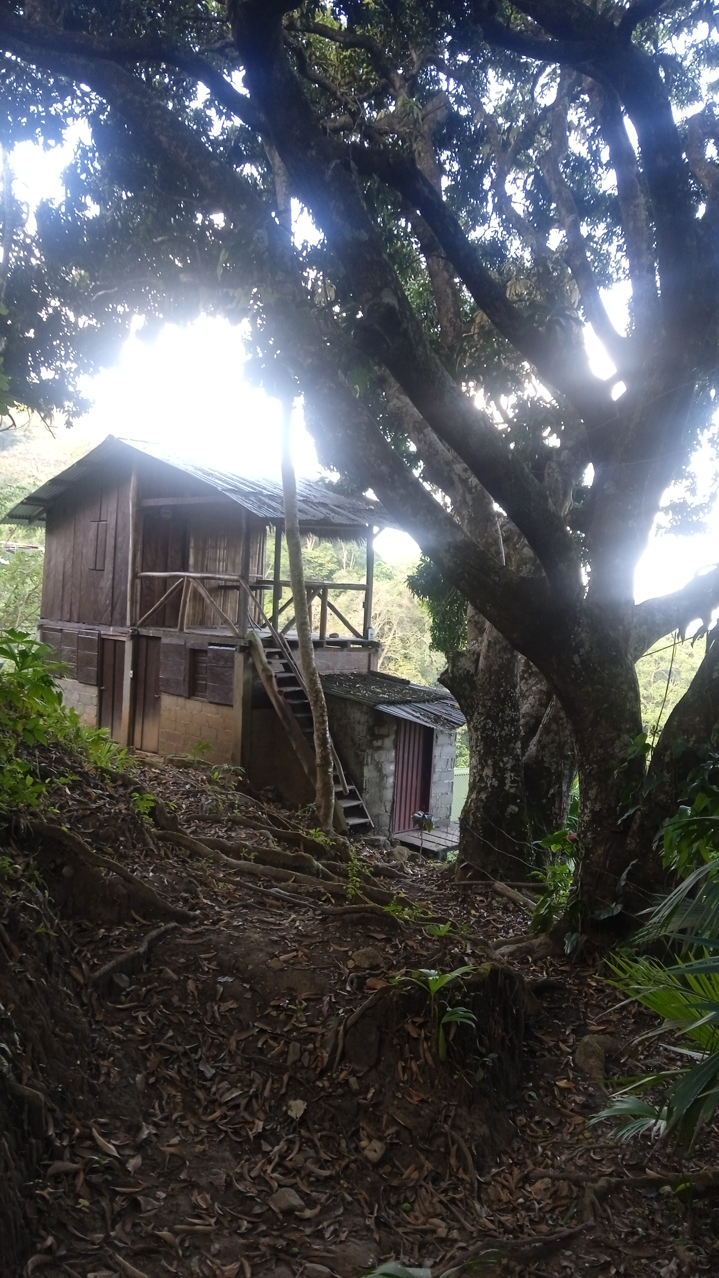 Montecristo Hostel