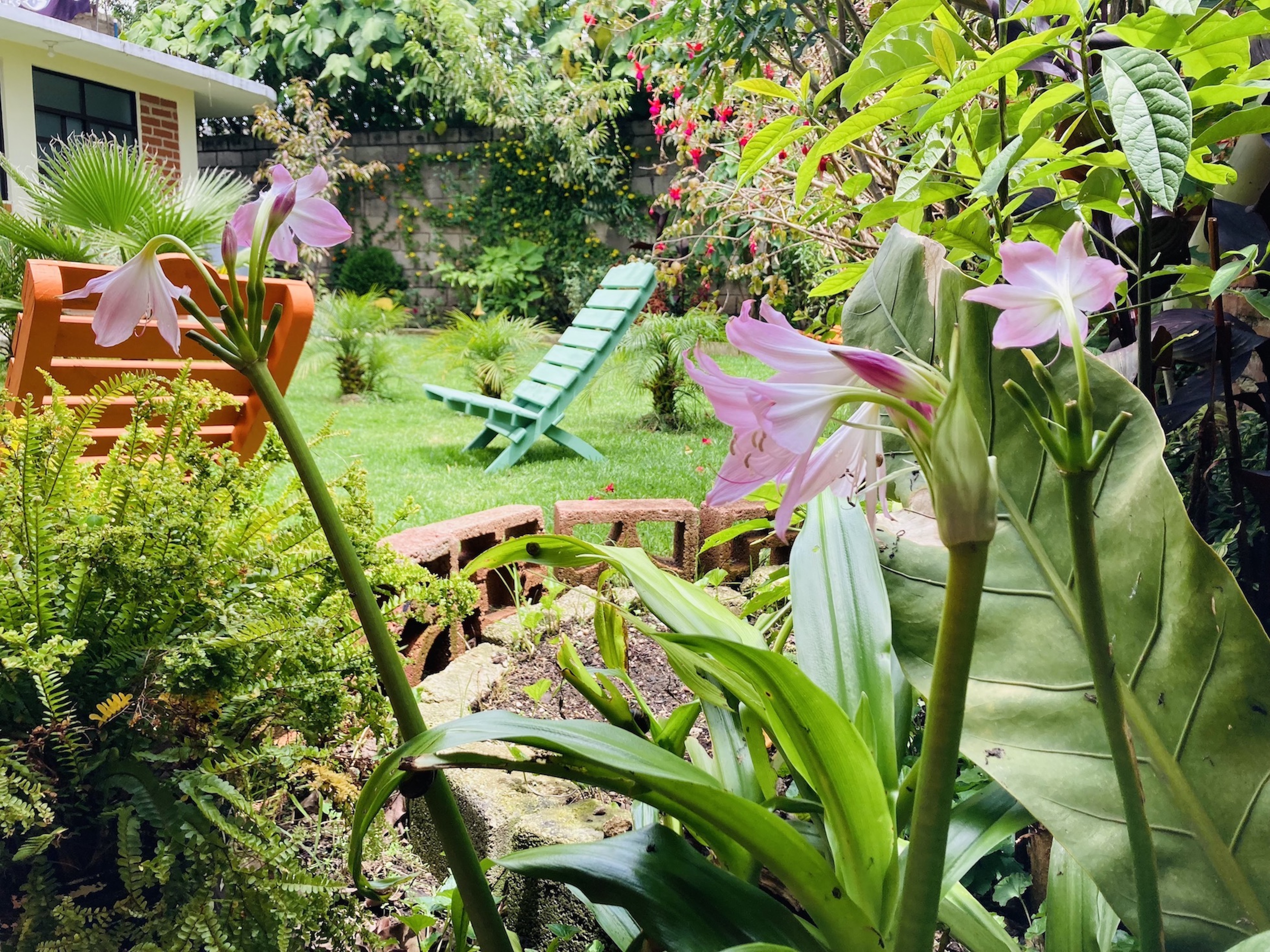 Casa Flor De Vida