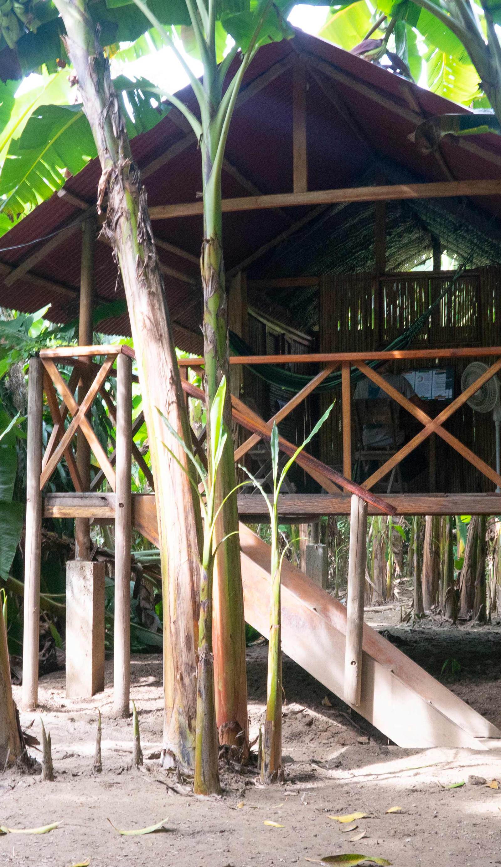 La Playita