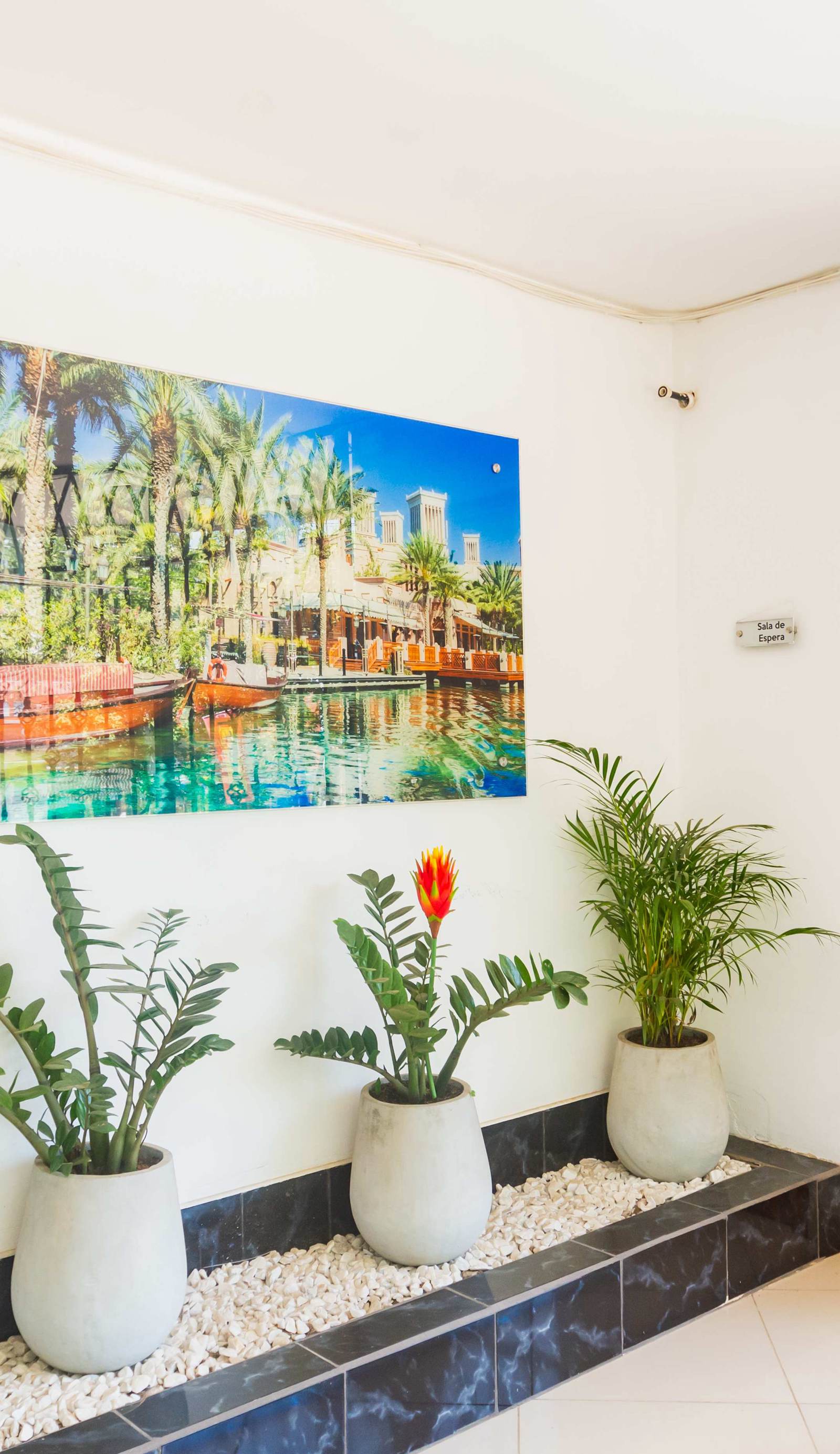 Hotel Tropical San Jeronimo