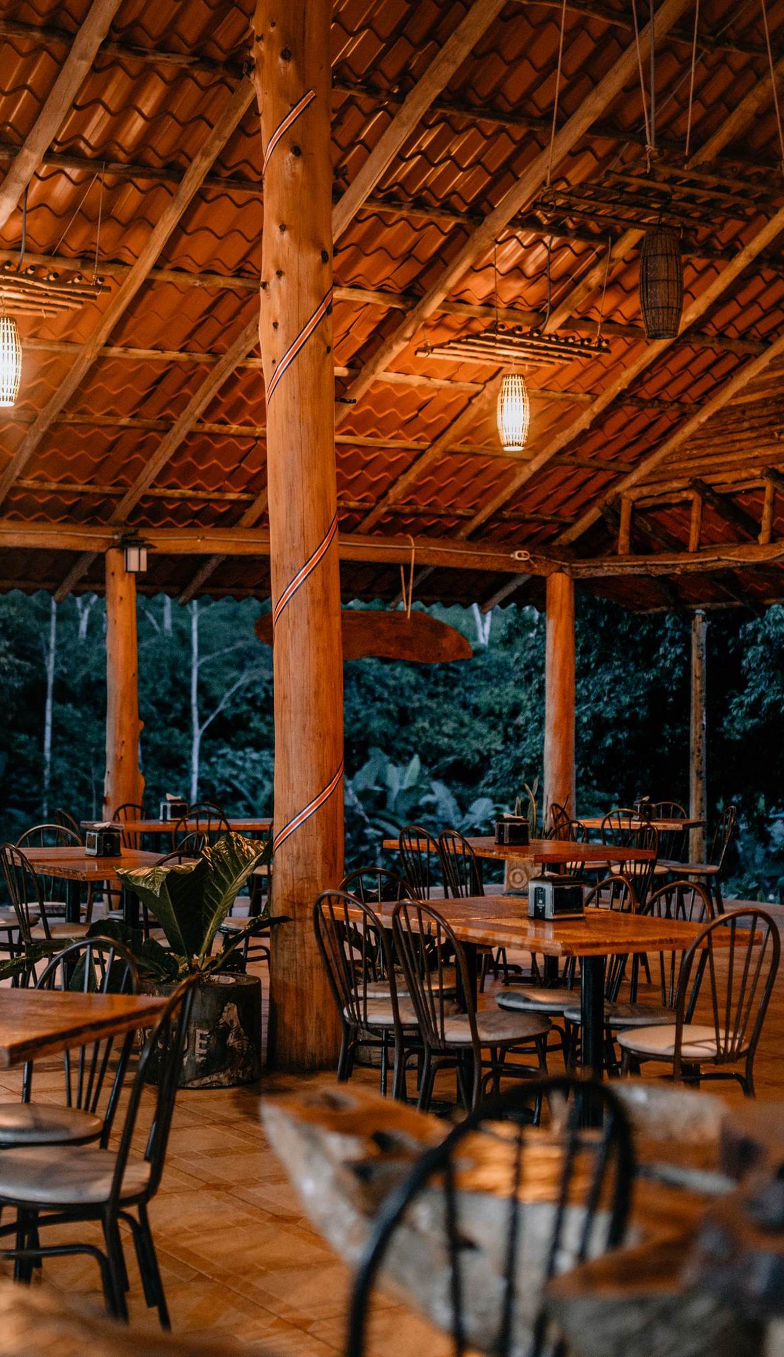Hotel del Bosque