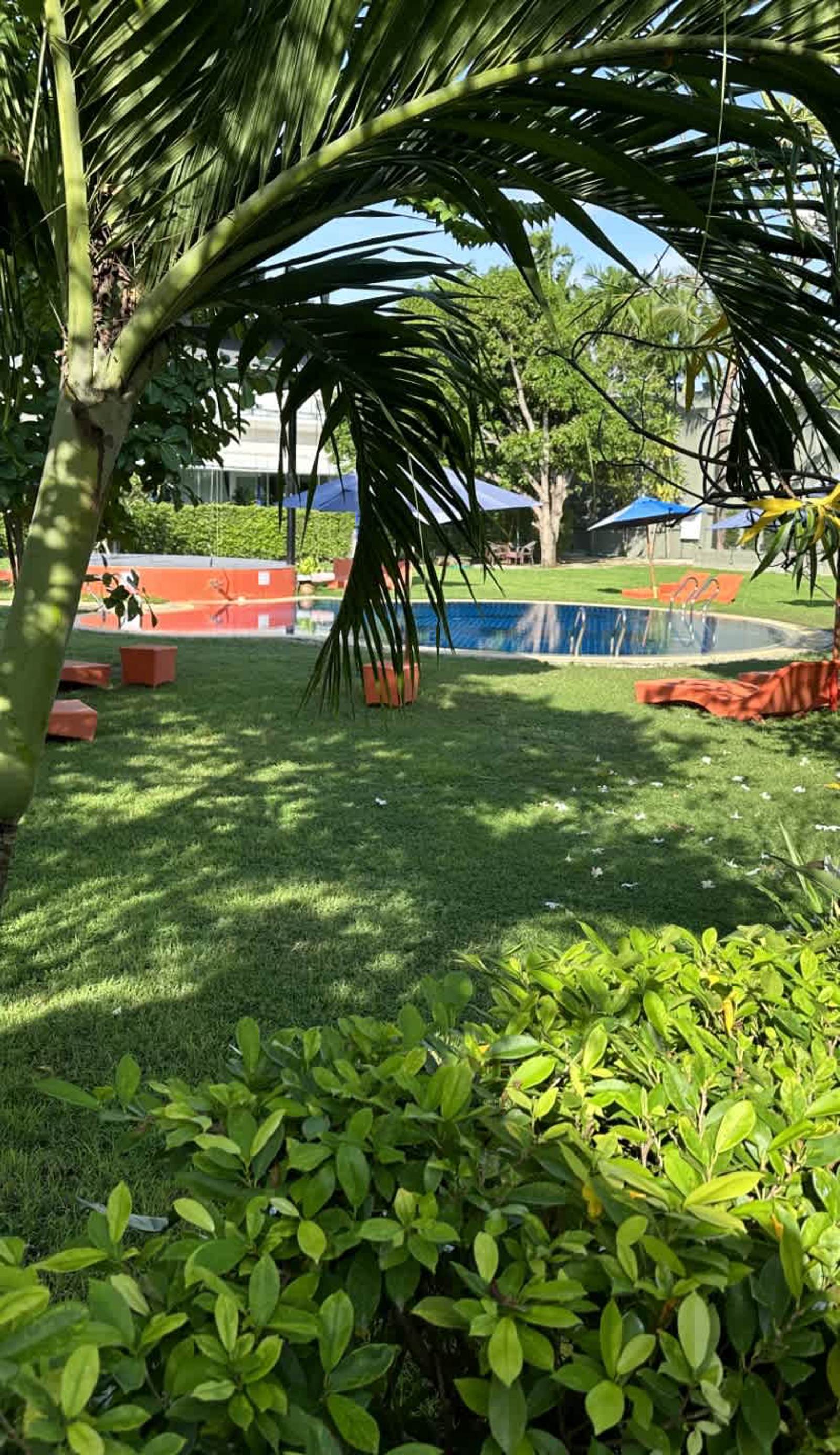 Kata Forte Resort