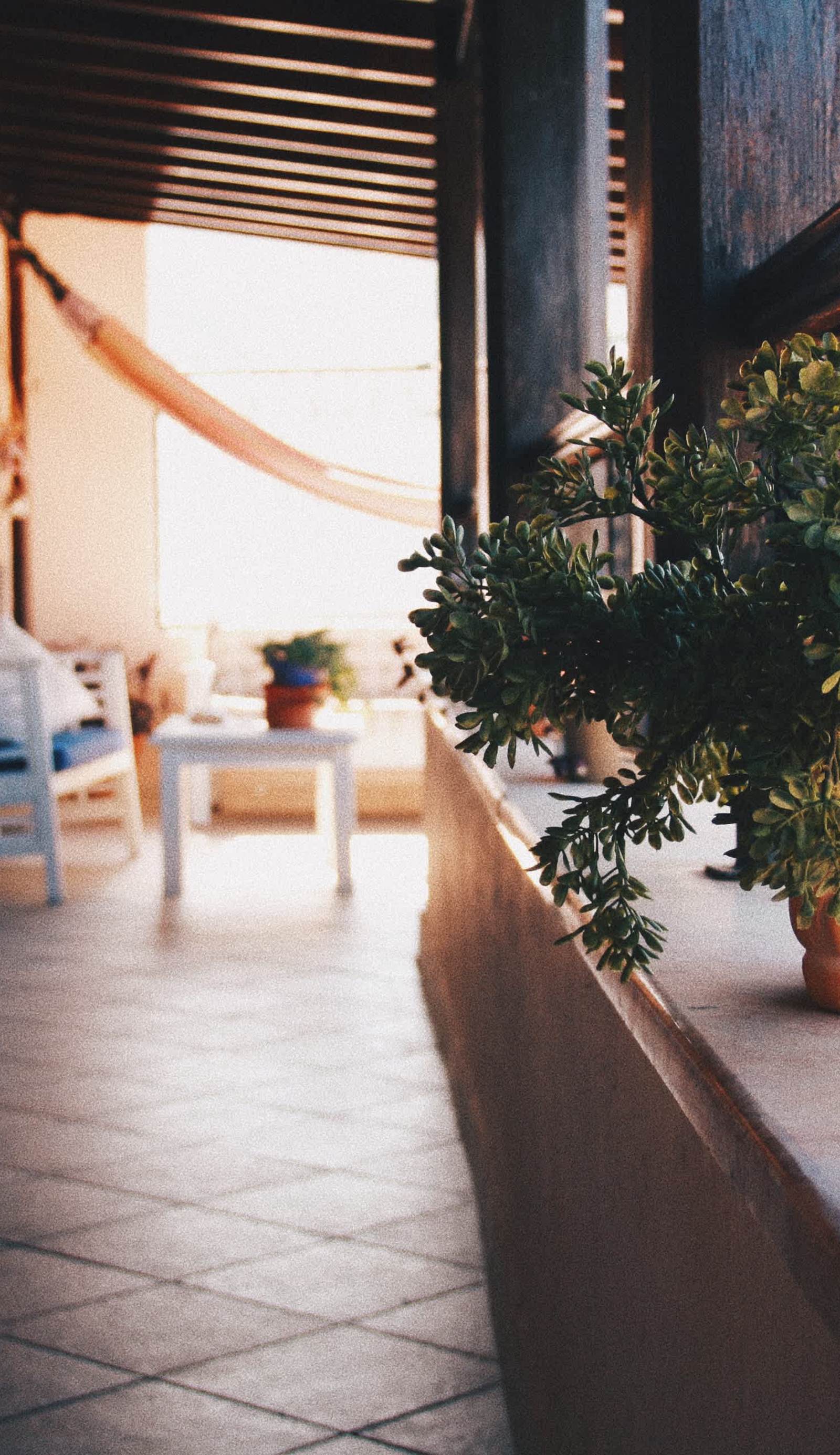La Luna Hostel