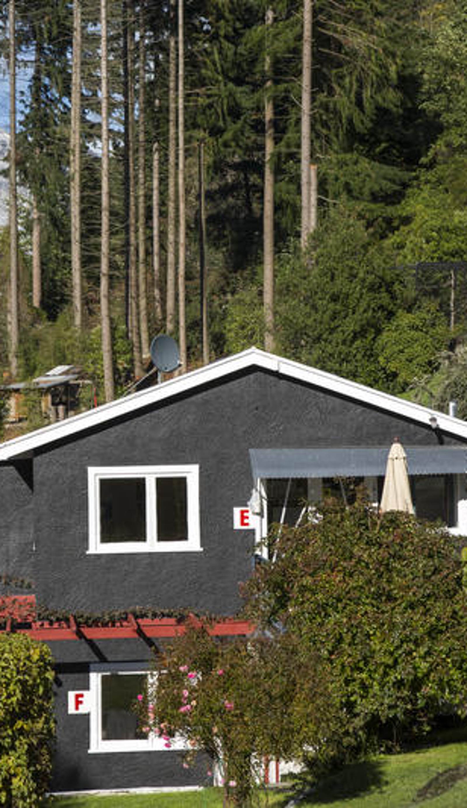 Pinewood Lodge