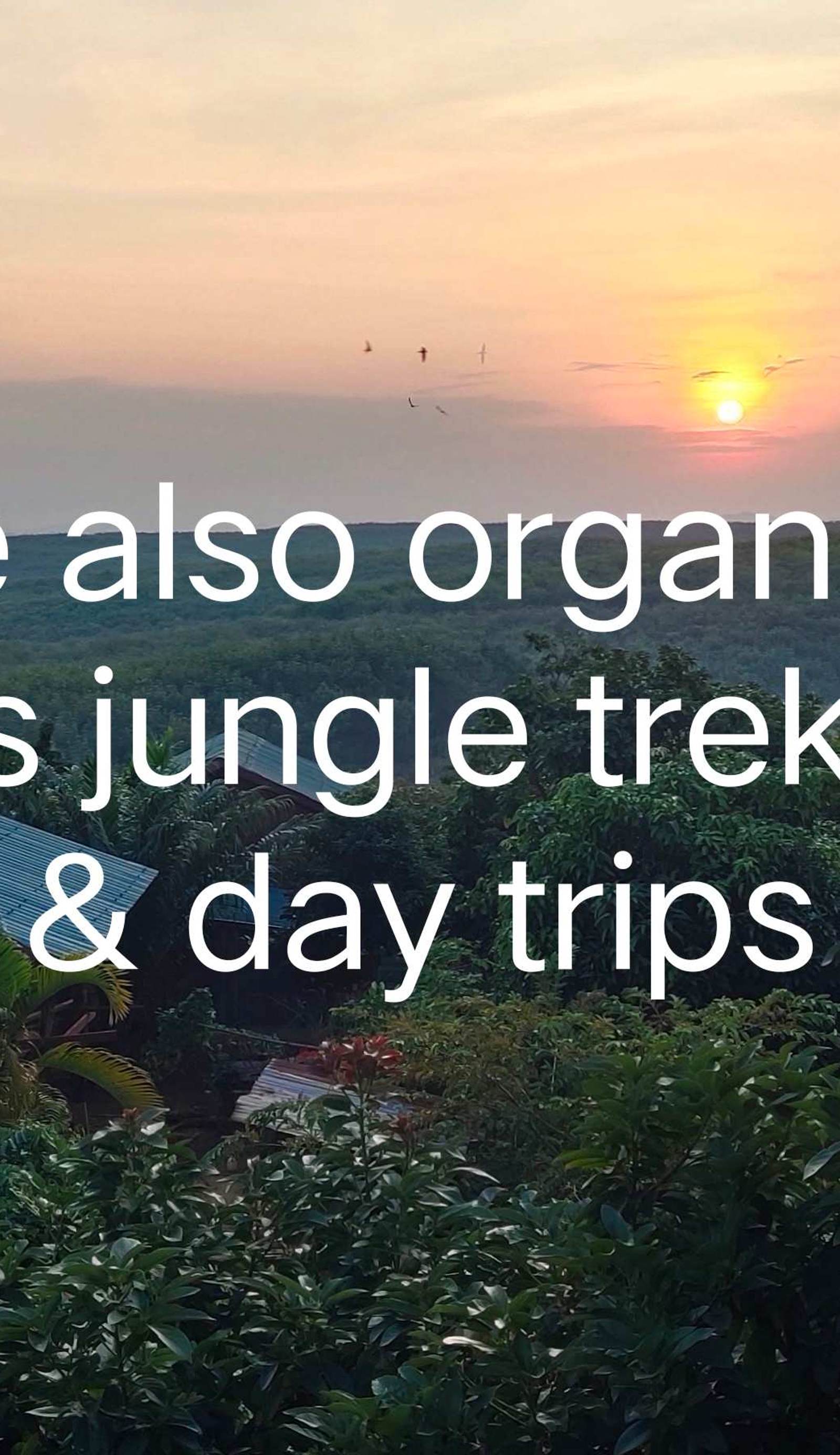 Tree Trails Travel Lodge