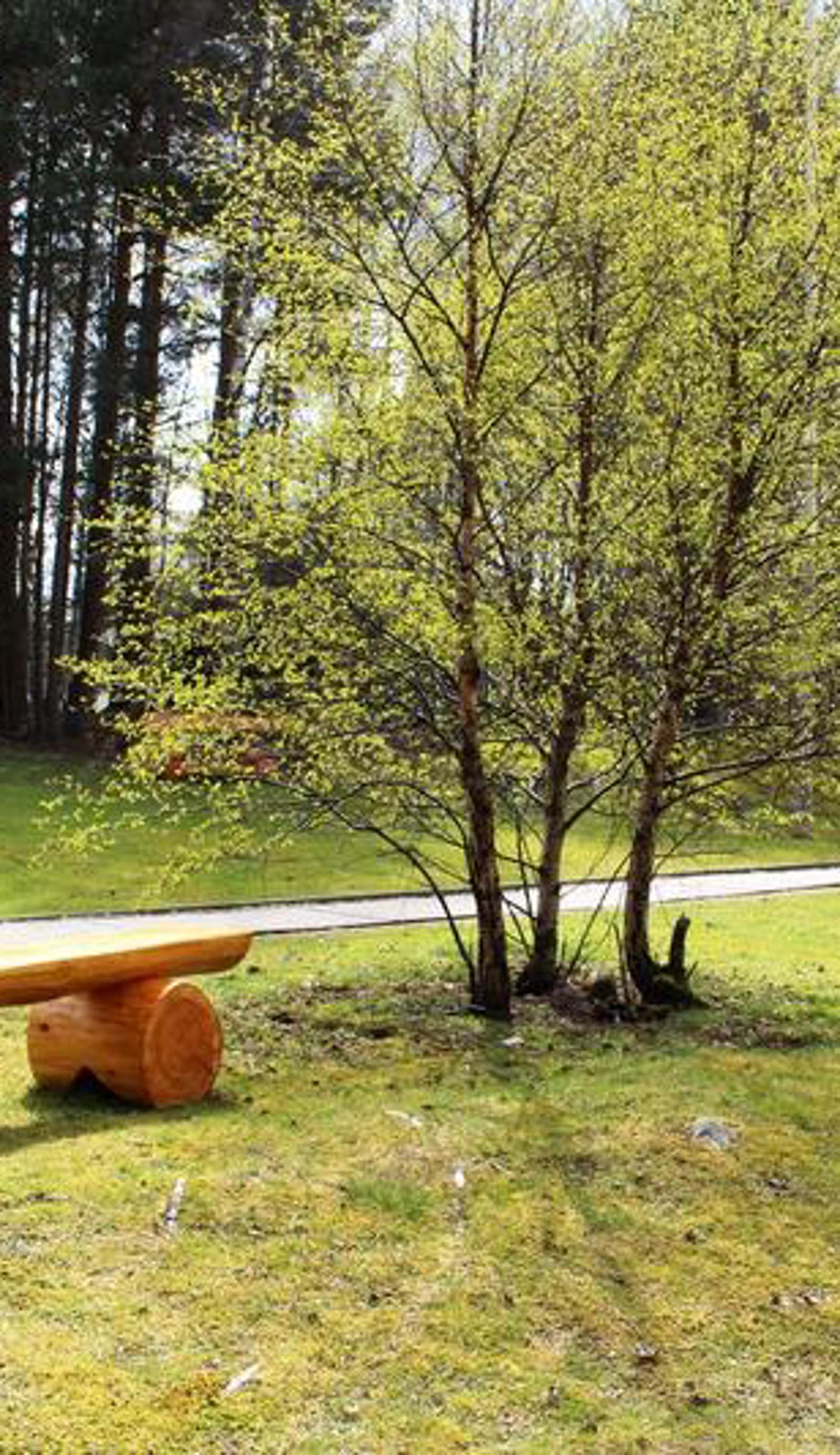 Aviemore Youth Hostel