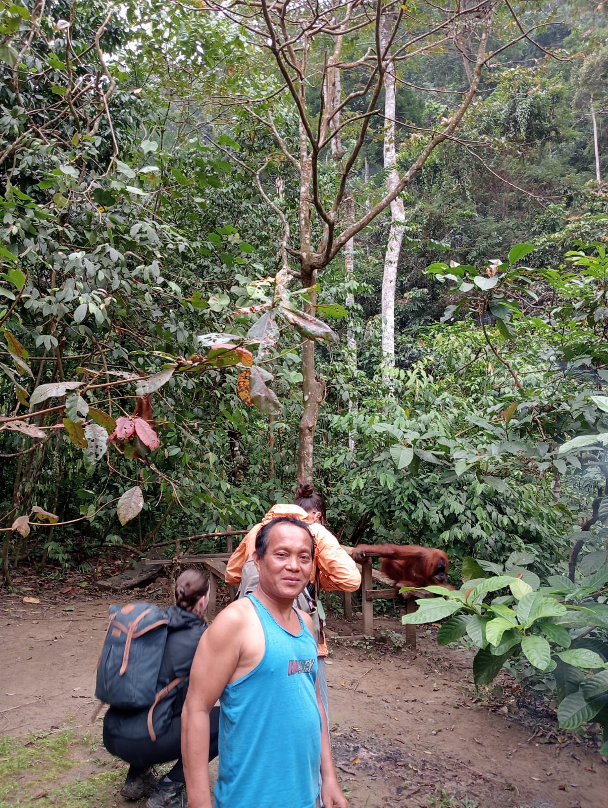 Orangutan Dream Jungle Trek