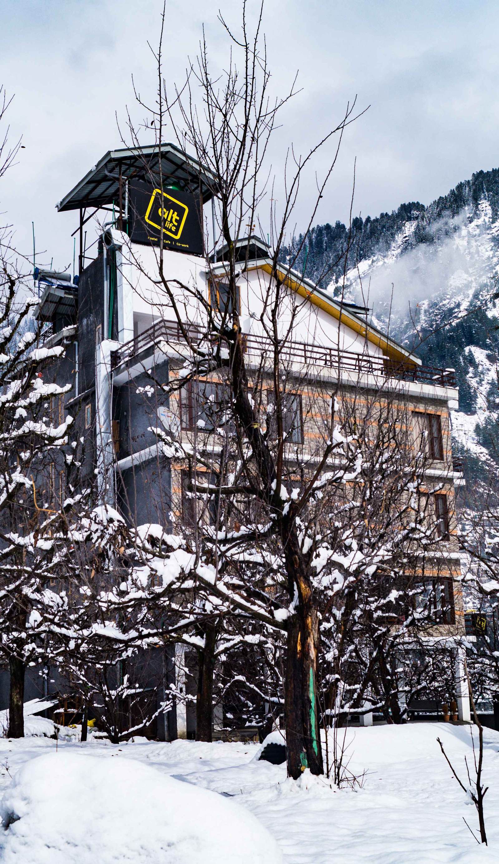 Alt Life - Manali