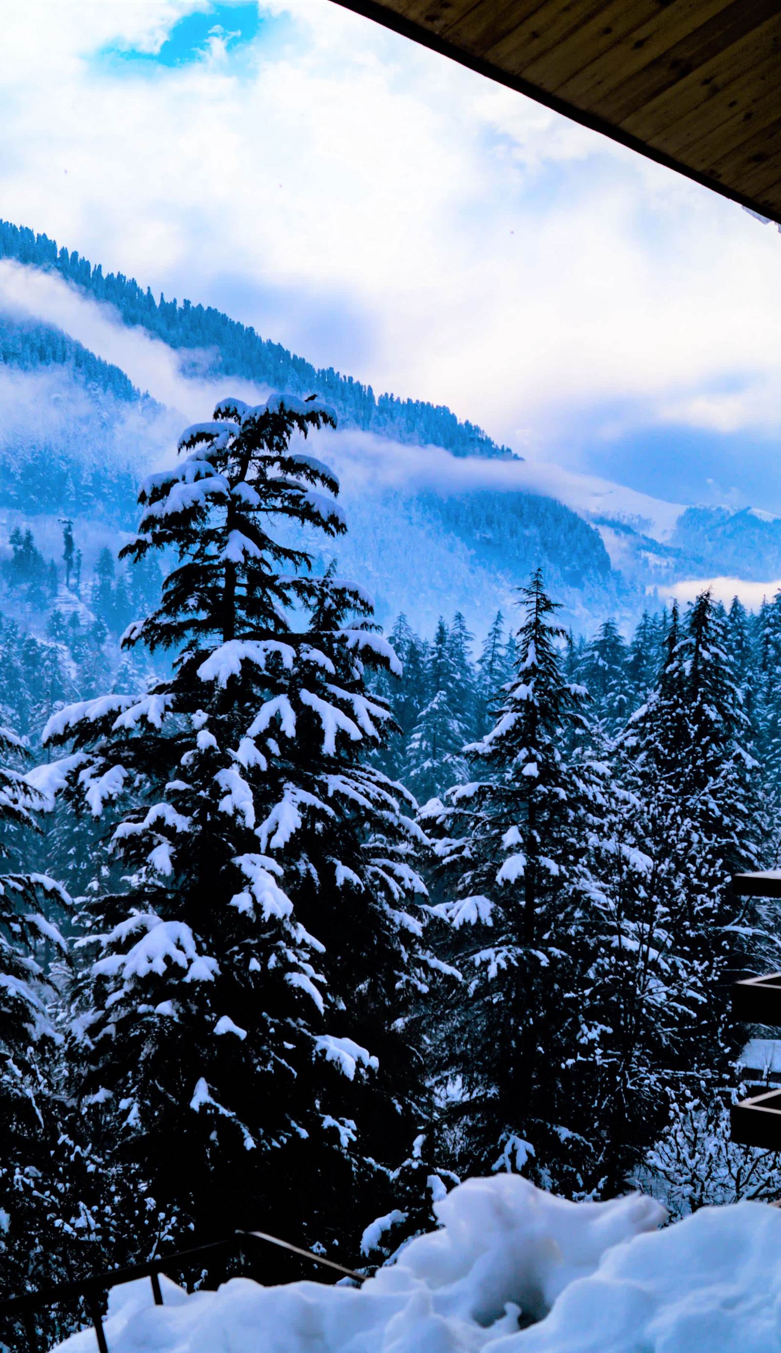 Alt Life - Manali