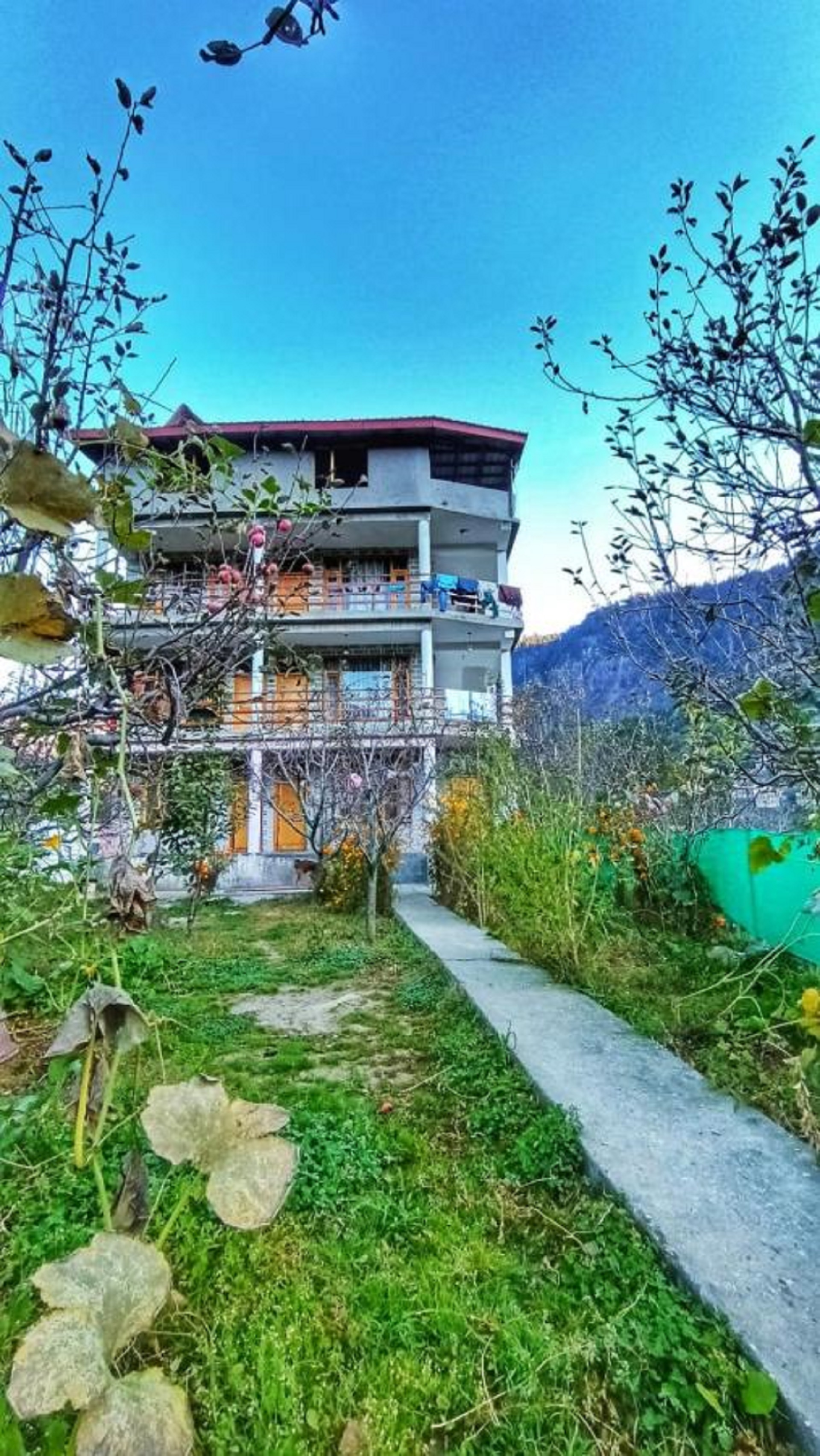 Hostel Trancemania