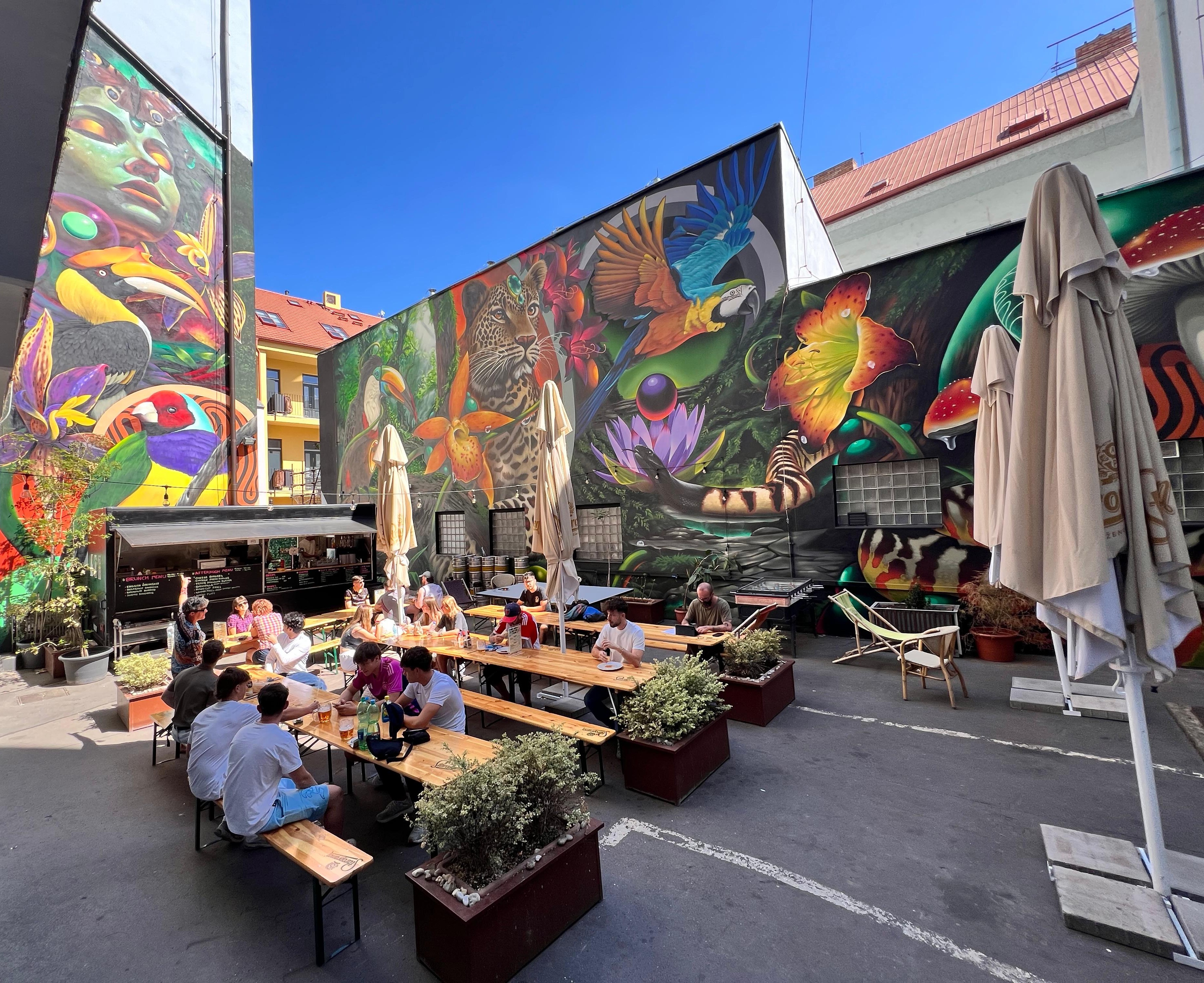 Drunken Monkey Hostel