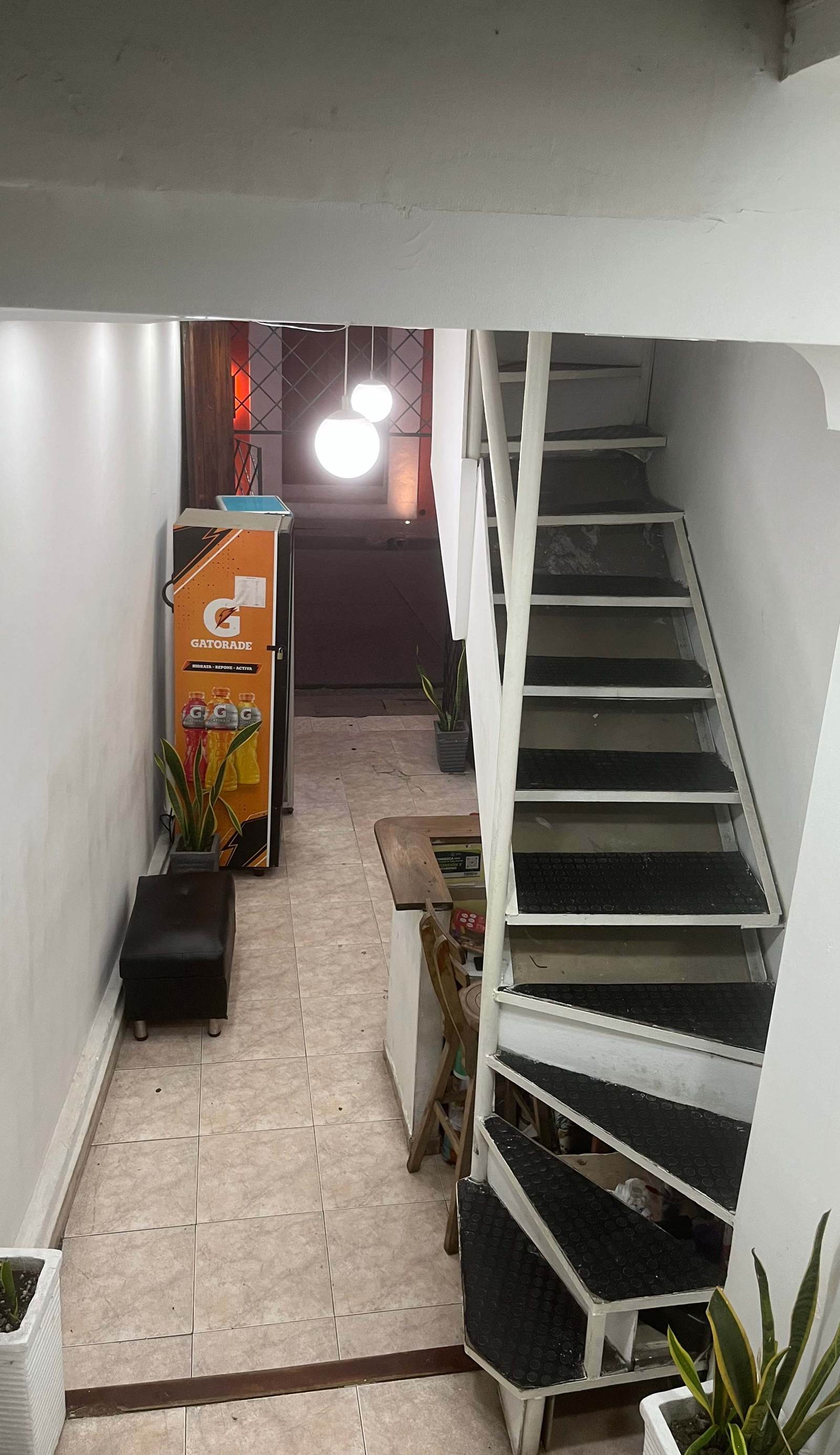 New Iguanas House Hostel