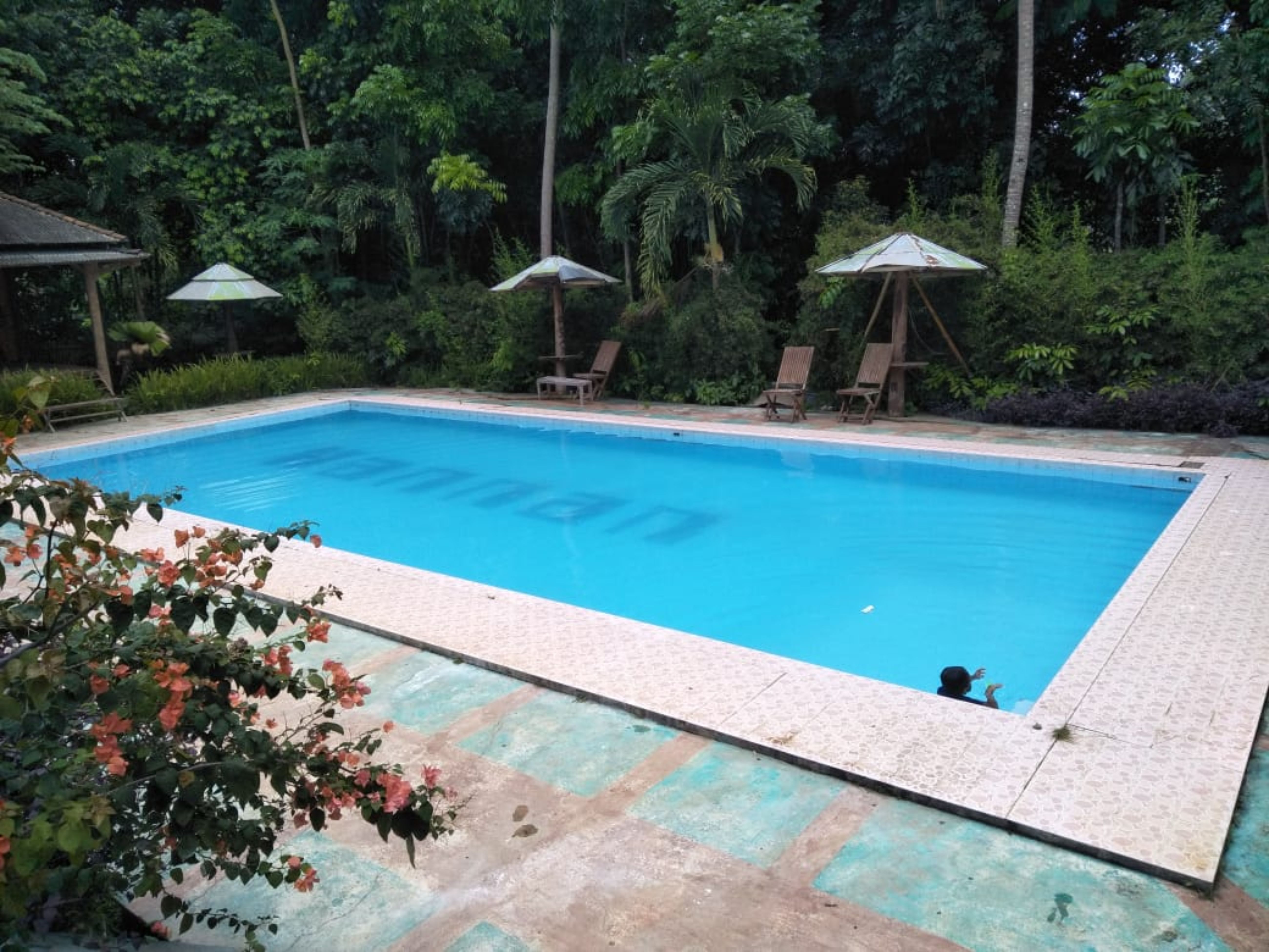 Penginapan Rudi