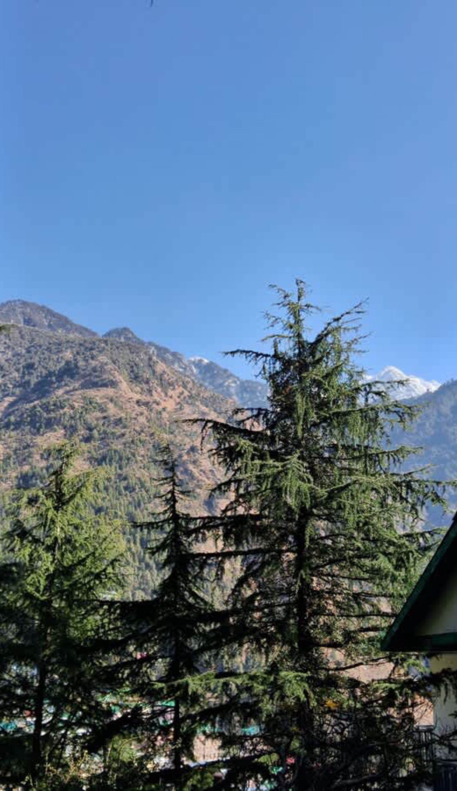 Himalayan Hostel