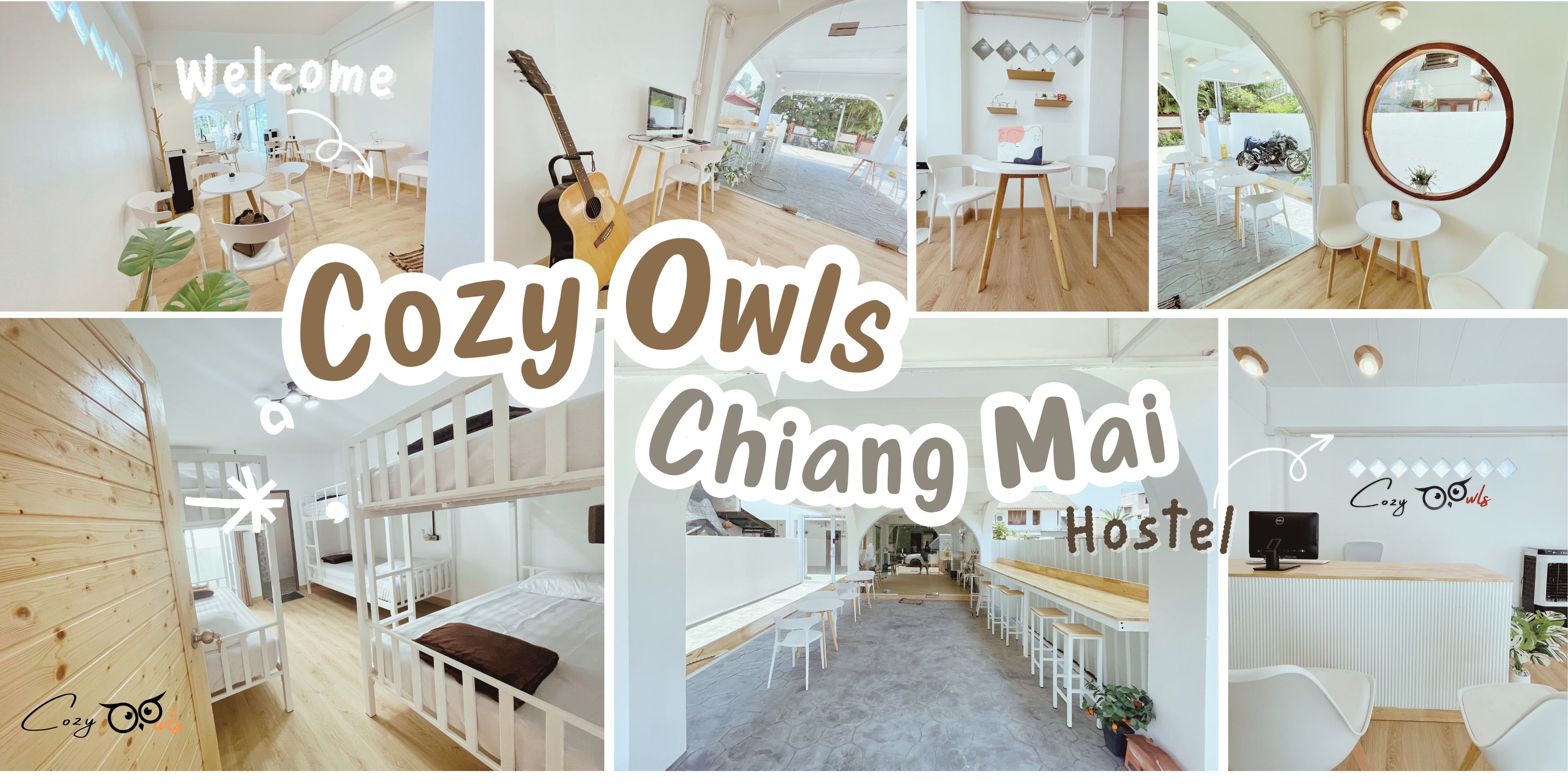 Cozy Owls Chiang Mai
