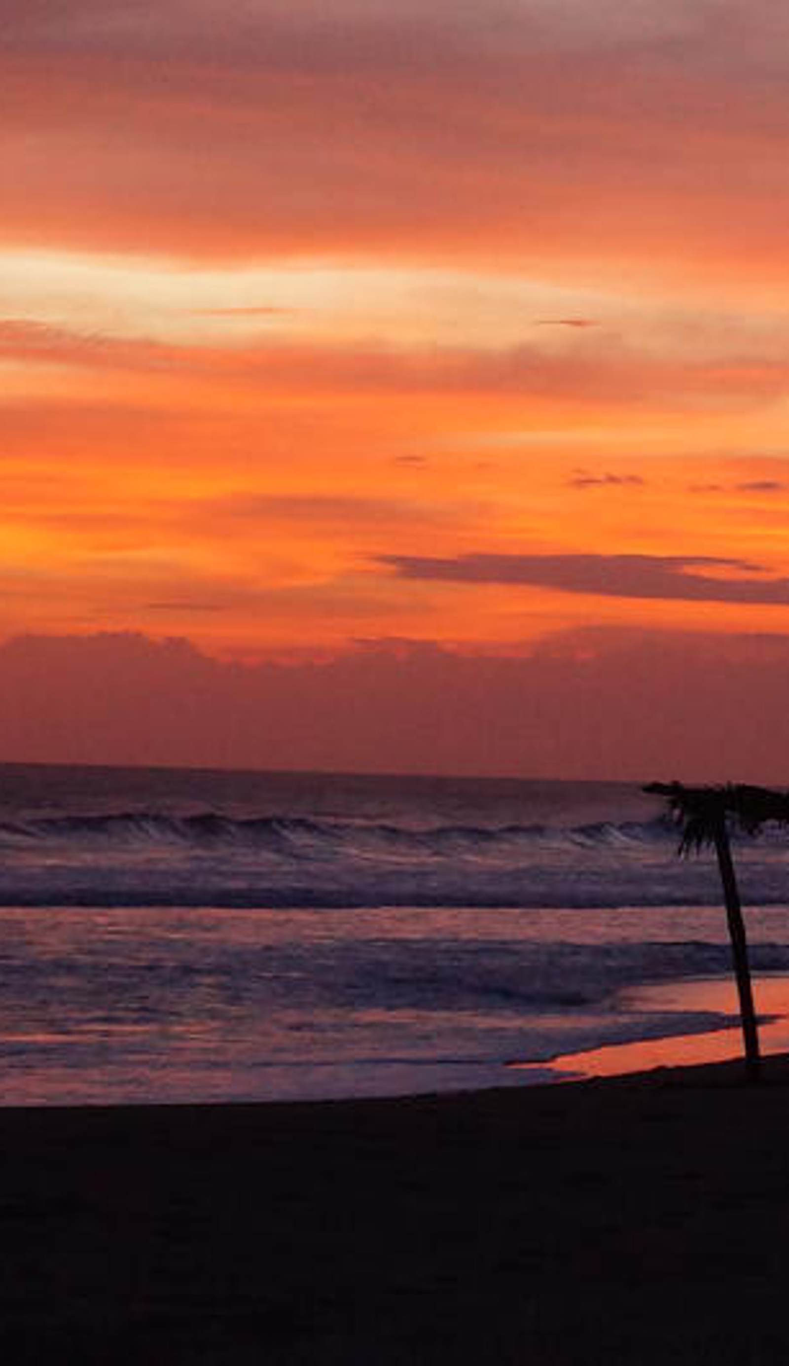Los Cocos Hostal
