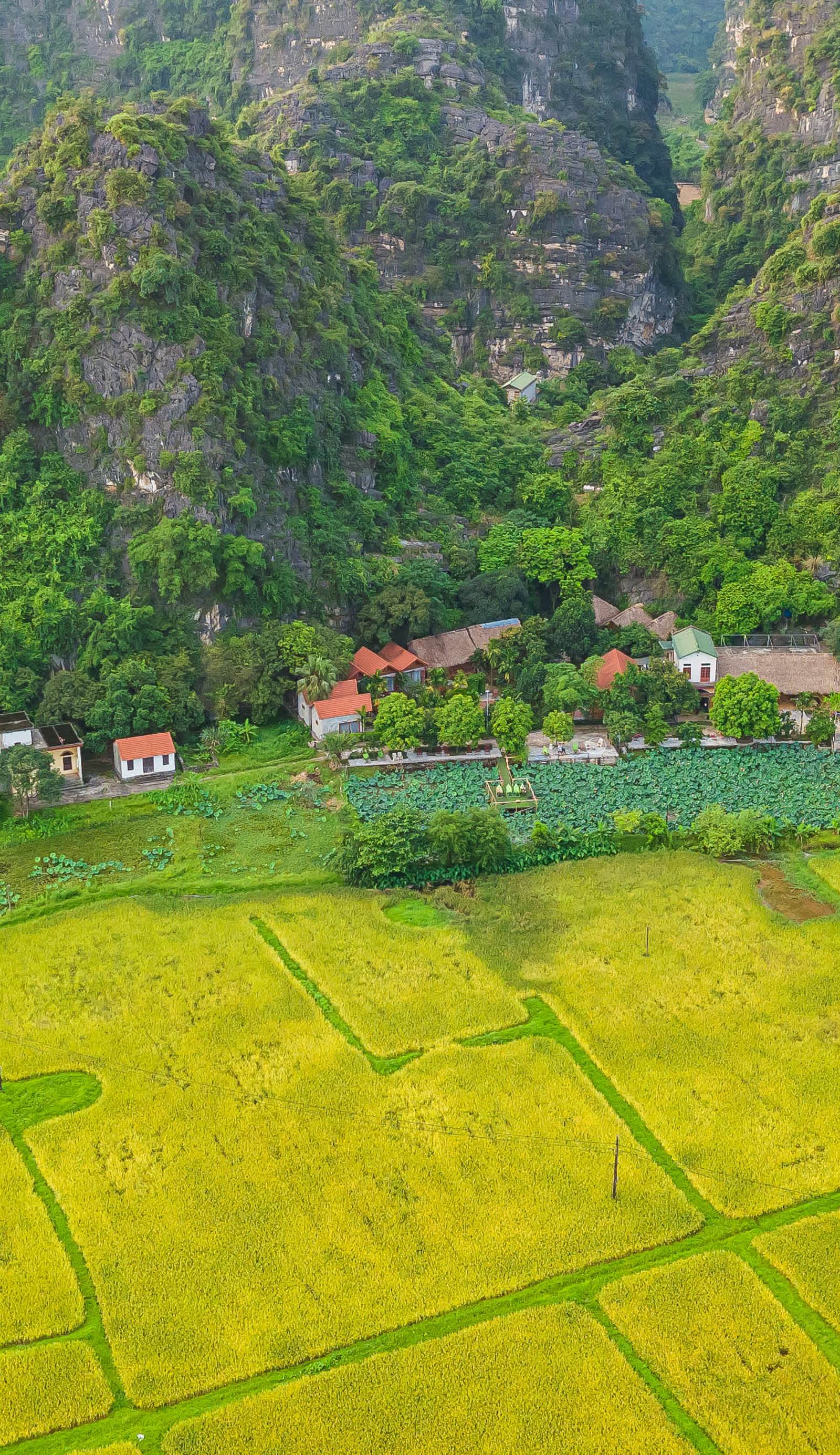 Green Mountain Homestay
