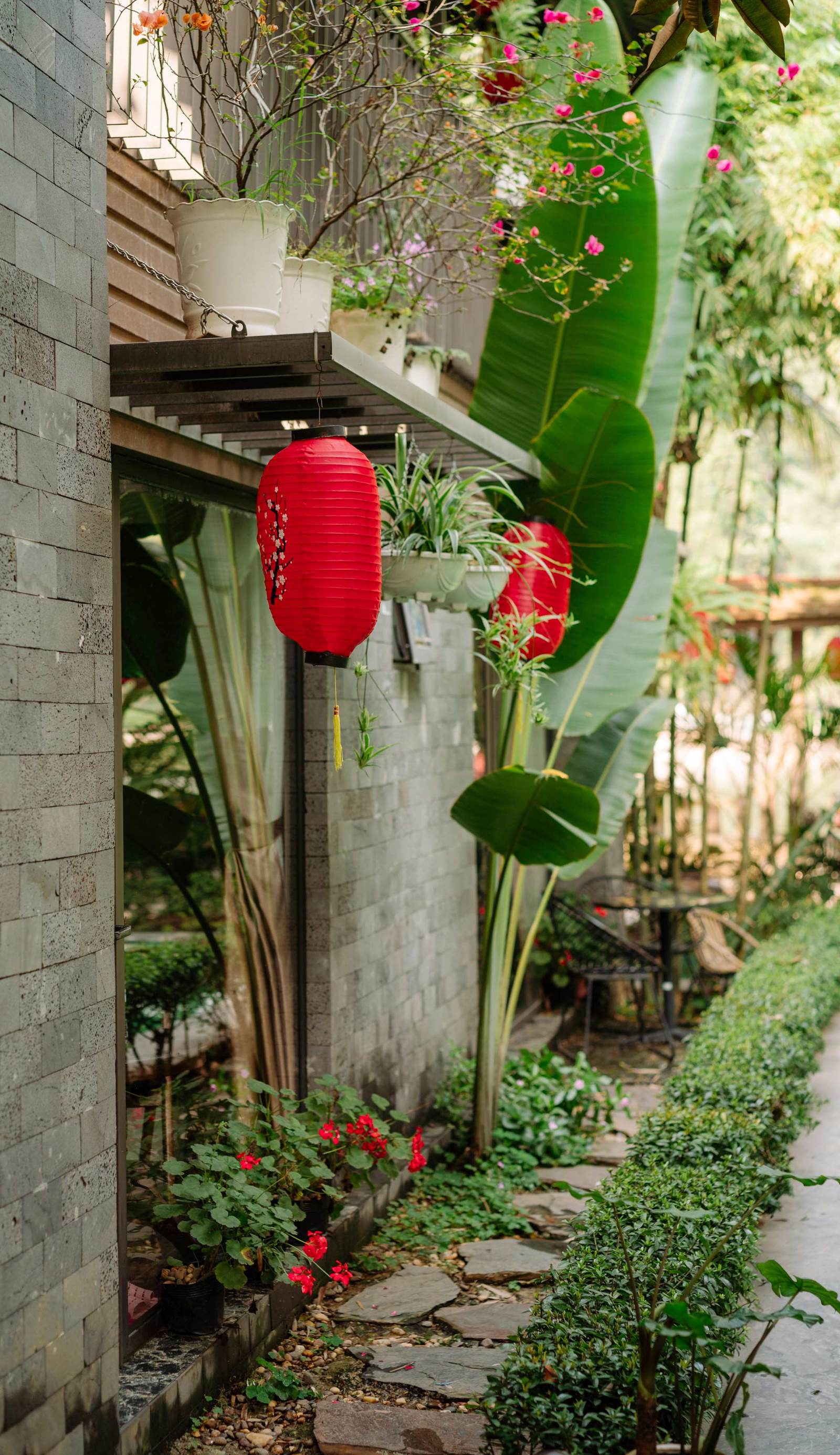 King Kong Homestay