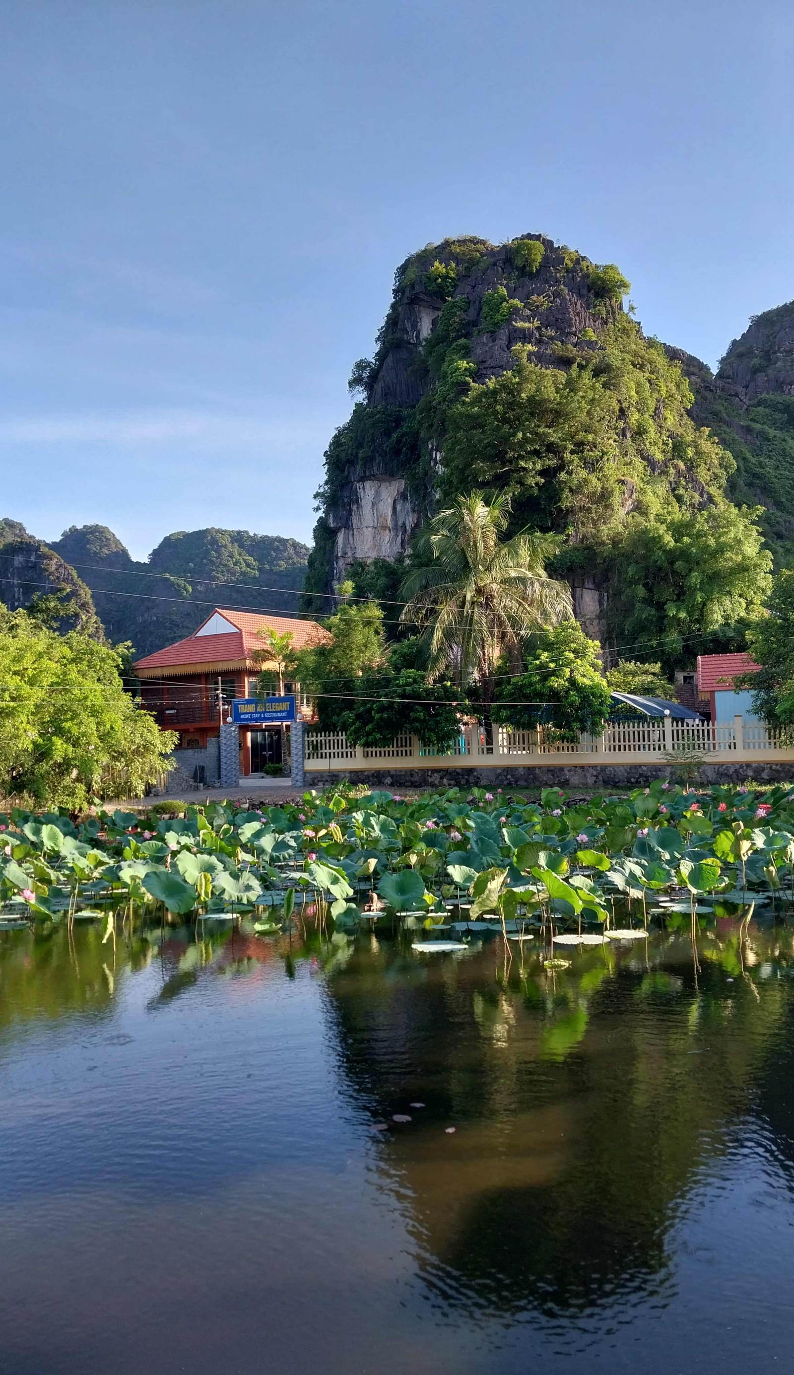 Trang An Elegant Homestay