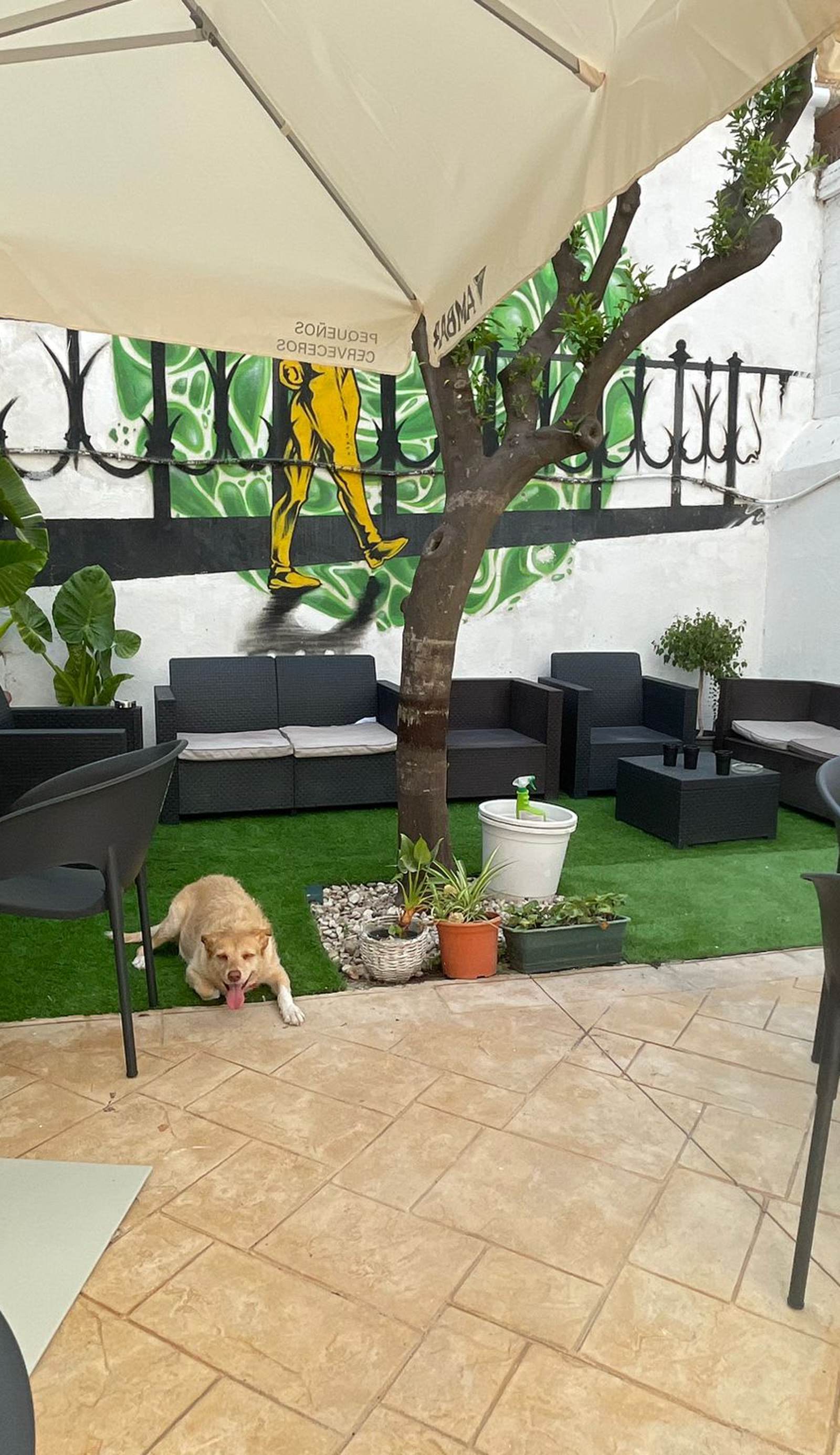 Tarragona Hostel