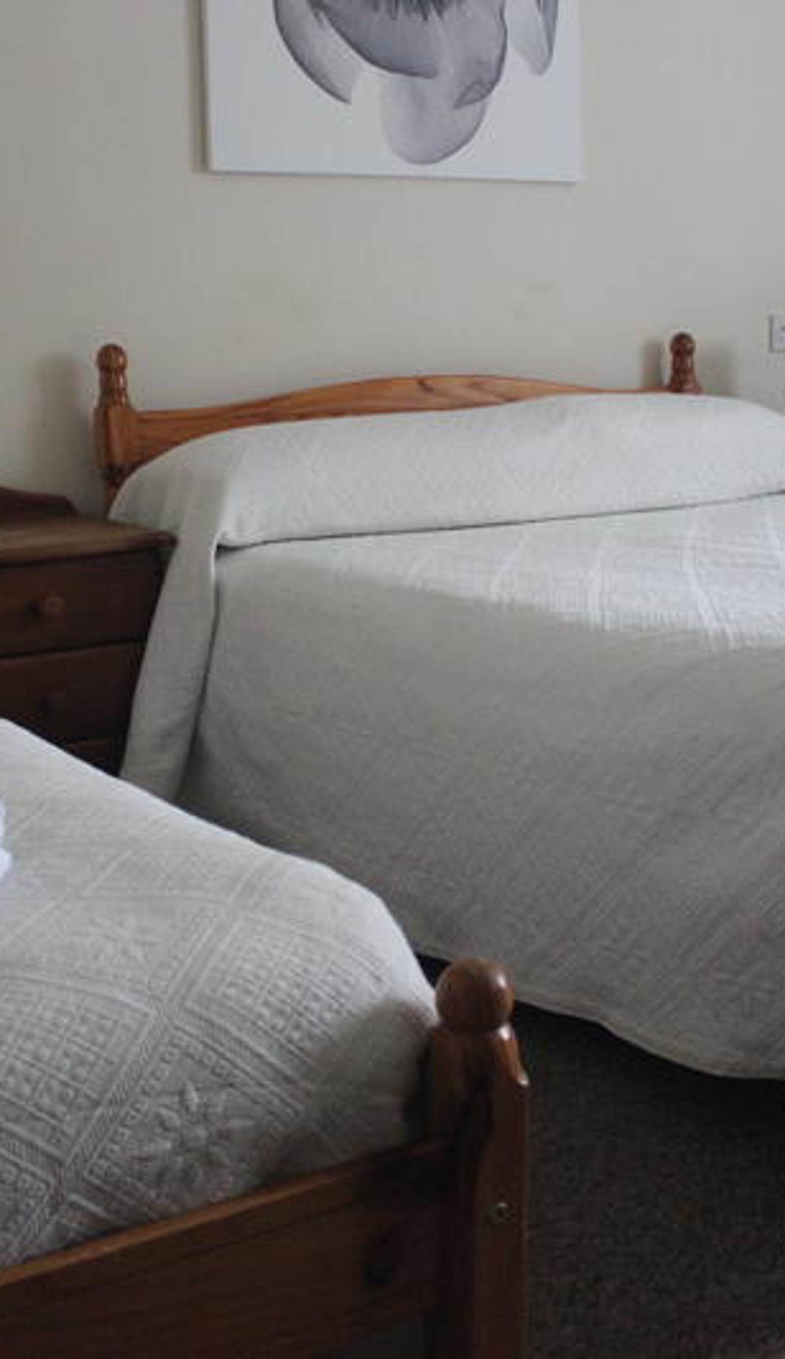 Little Foxes Hotel