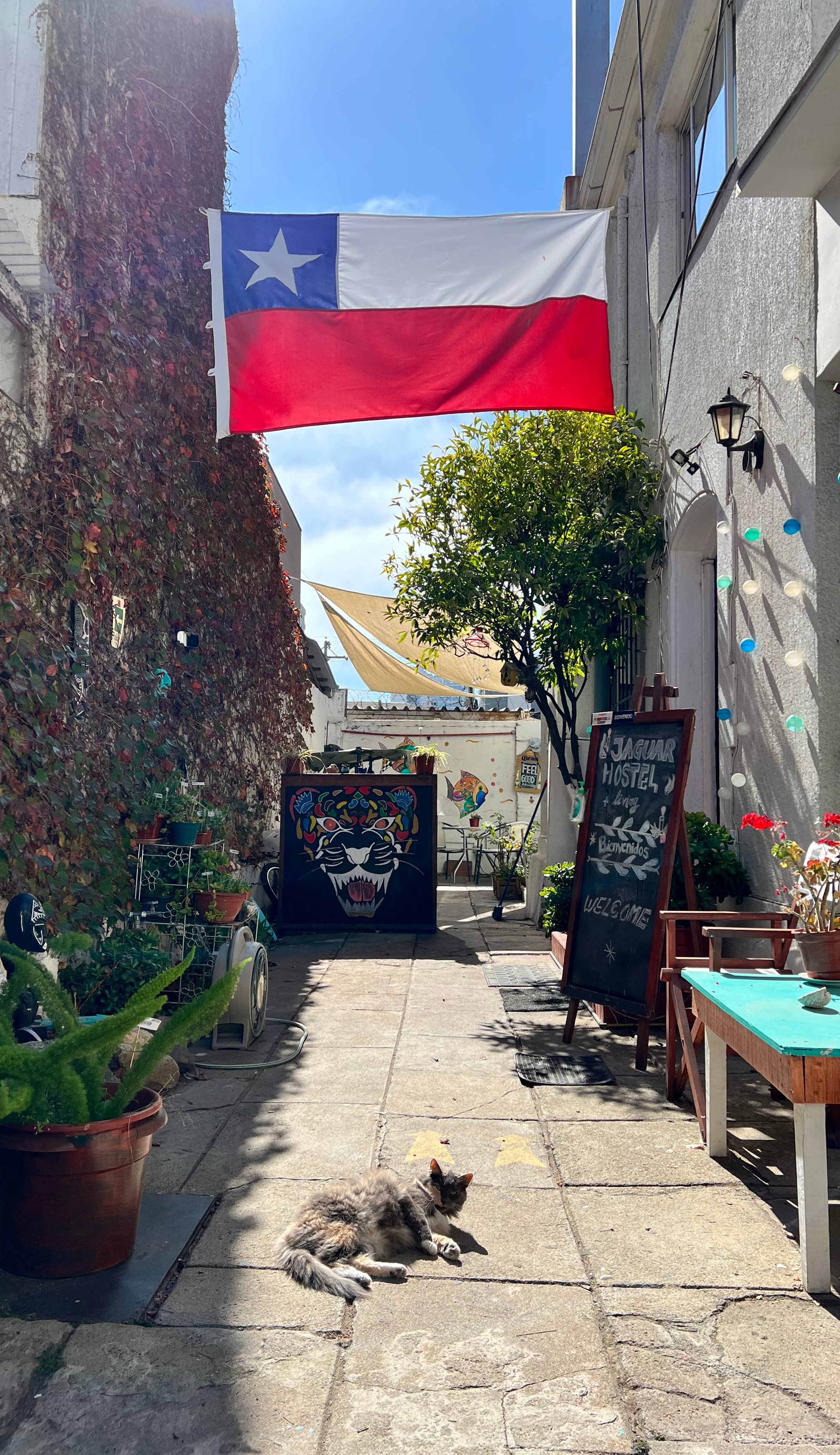 Jaguar Hostel + Living