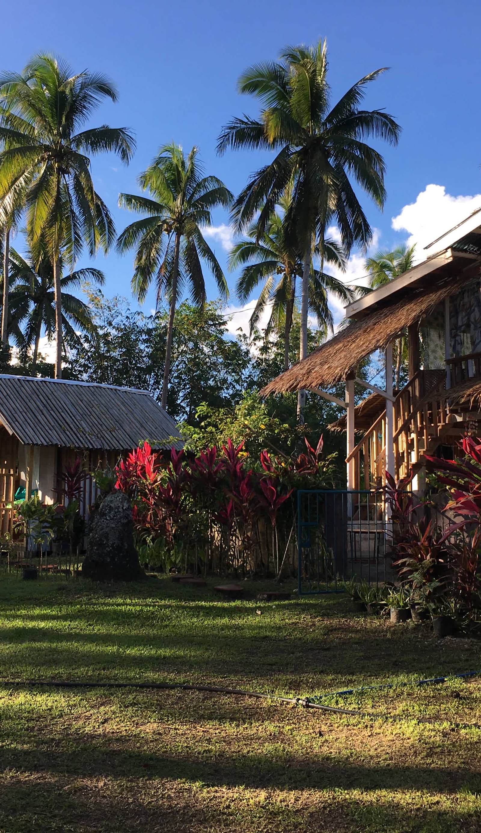 Bohol Hammock Hostel