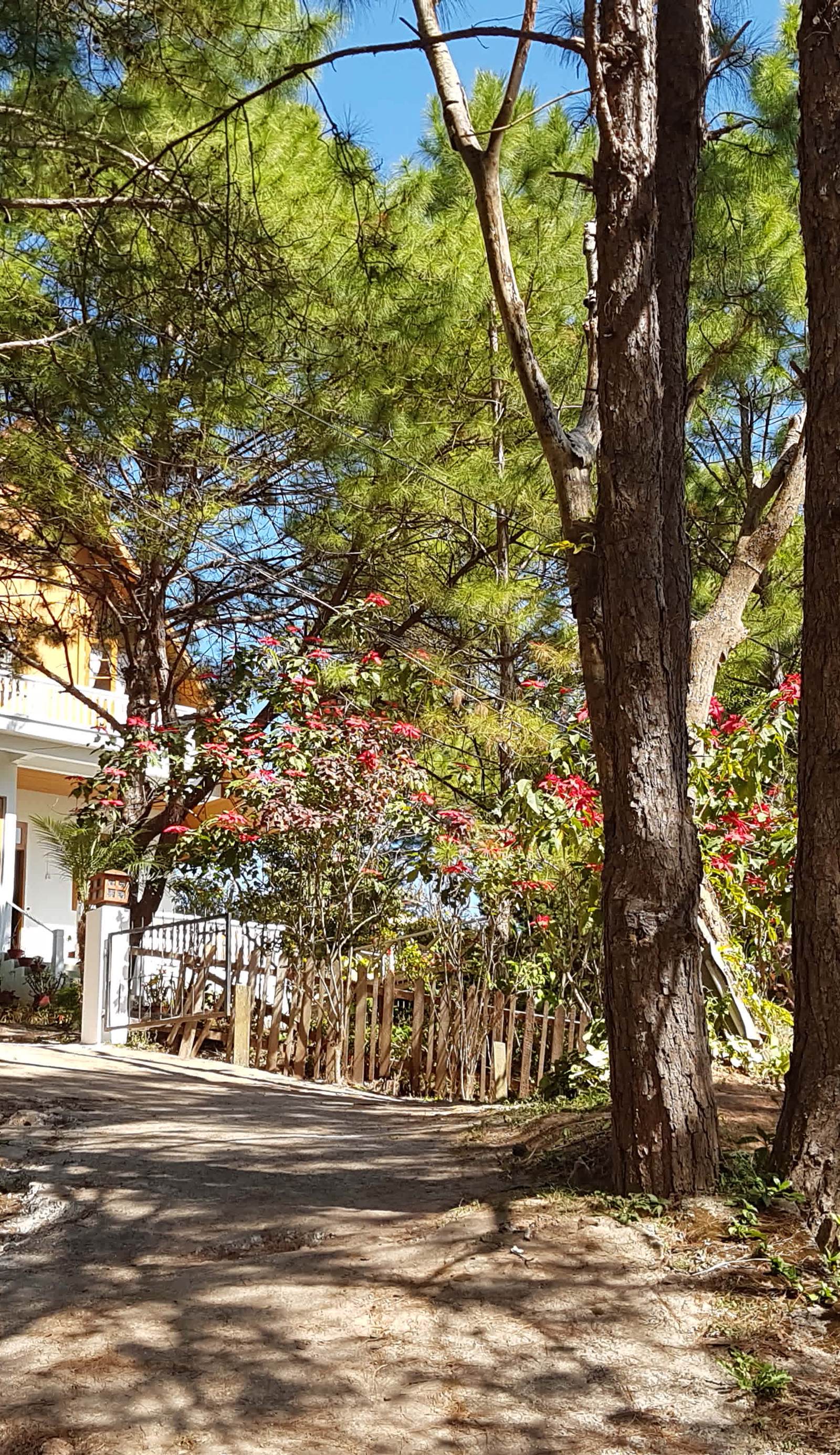 Hillock Villa
