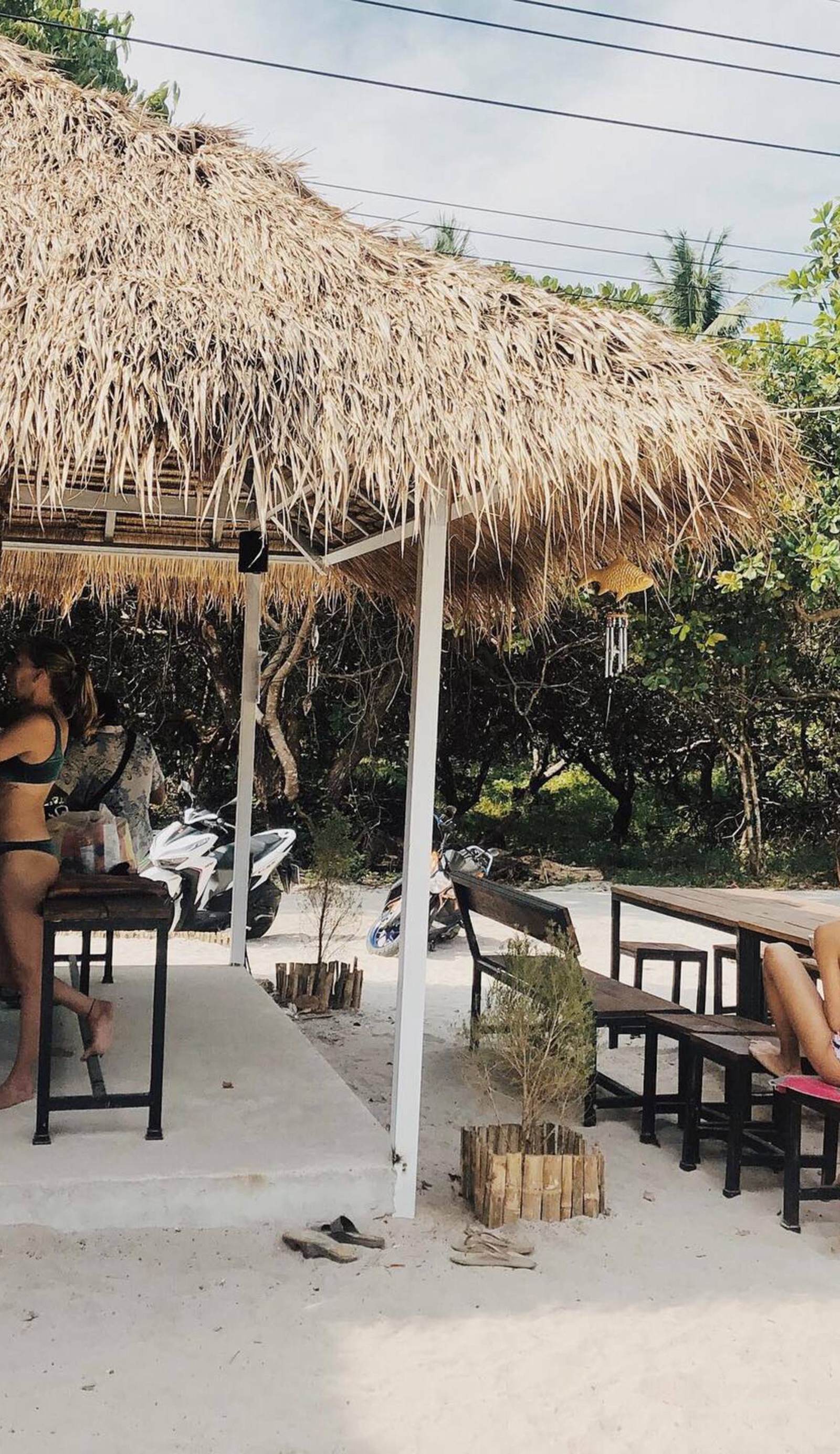 Tropical Hostel